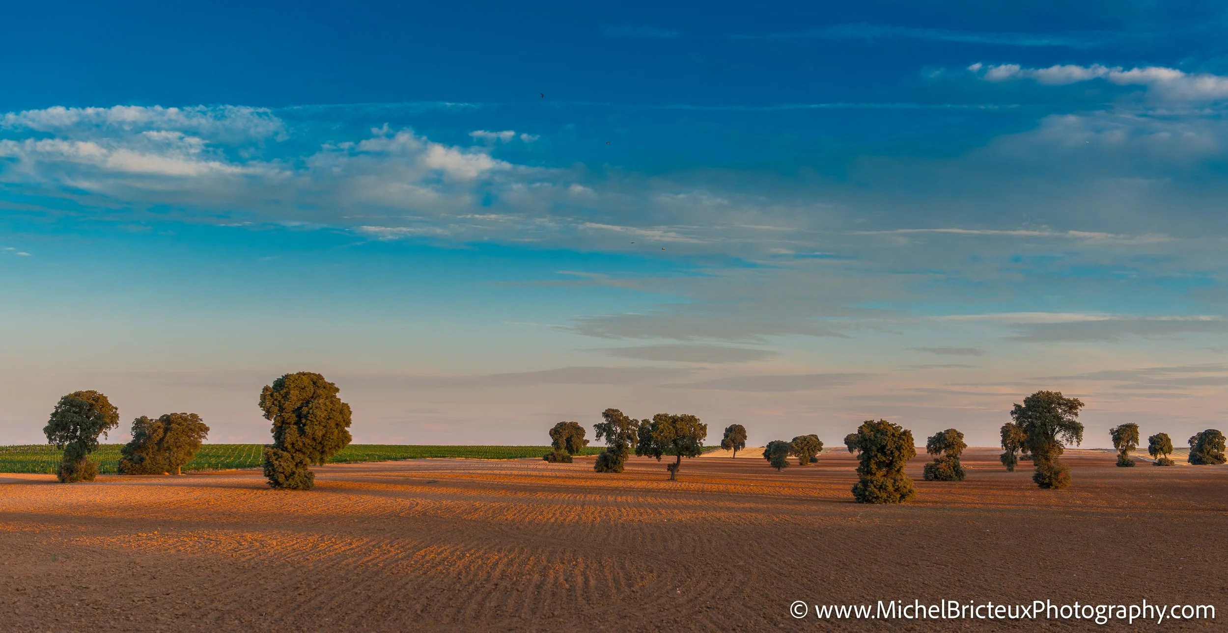 ES-Castilla-La Mancha 2012 9485 LowRes.jpg