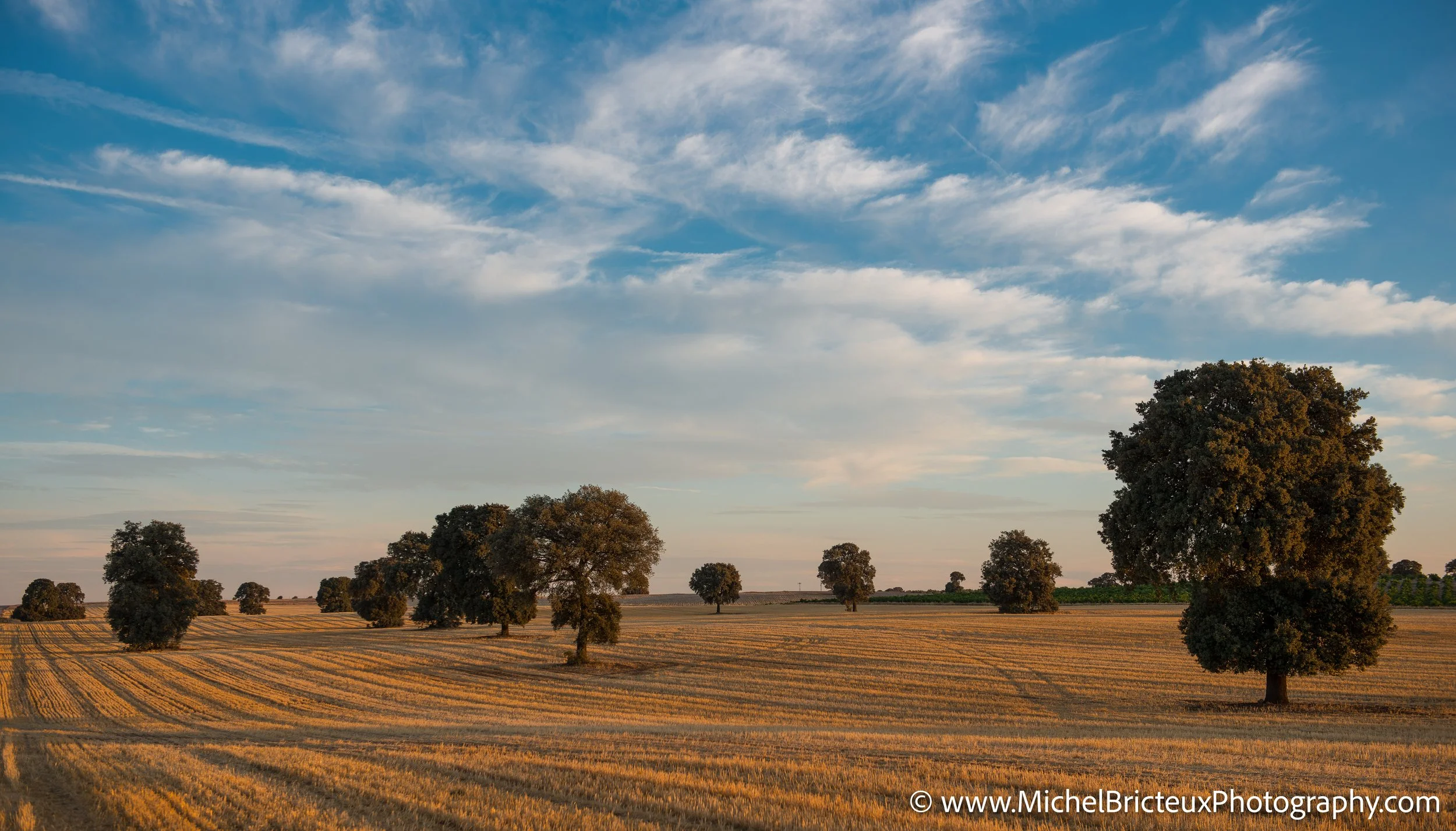 ES-Castilla-La Mancha 2012 9494 LowRes.jpg