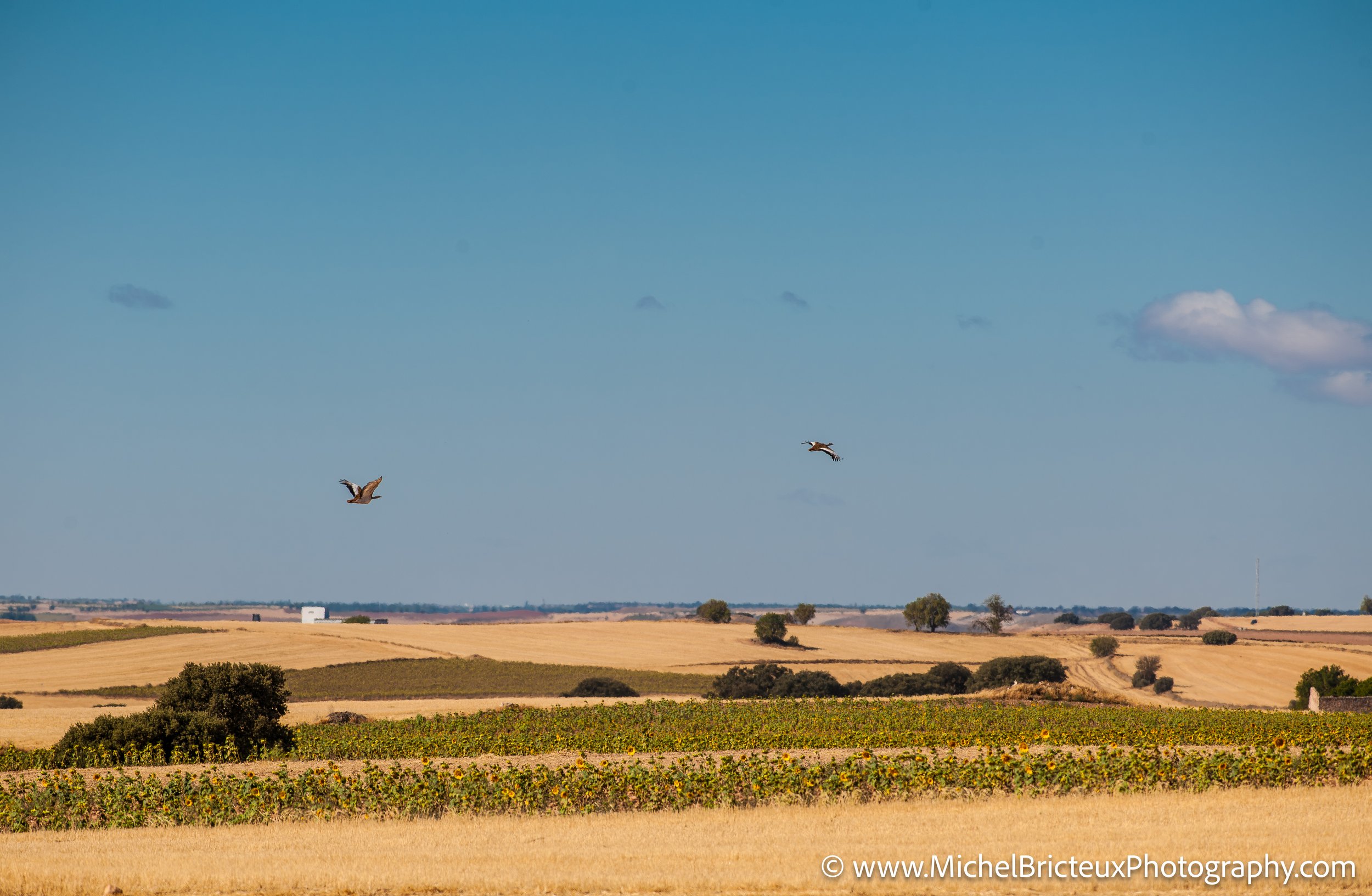 ES-Castilla-La Mancha 2012 1695 LowRes.jpg