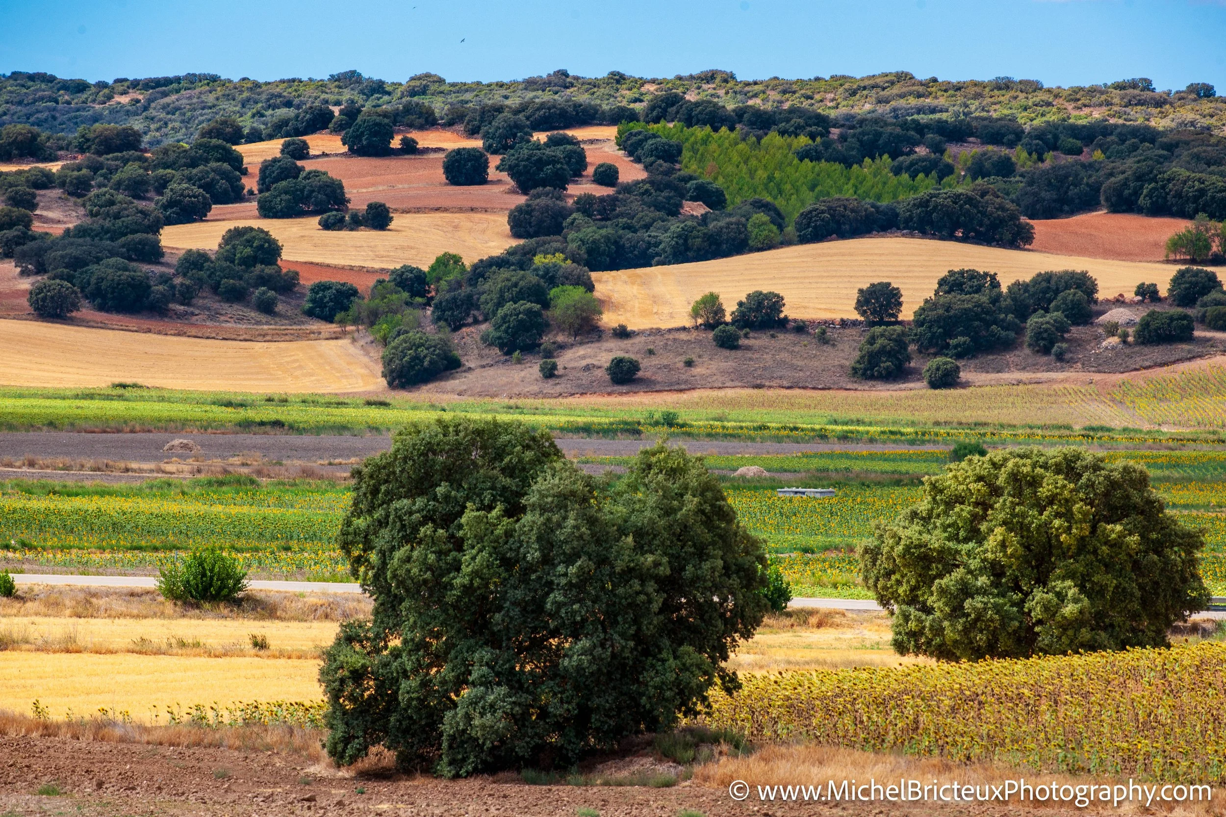 ES-Castilla-La Mancha 2012 1713 LowRes.jpg