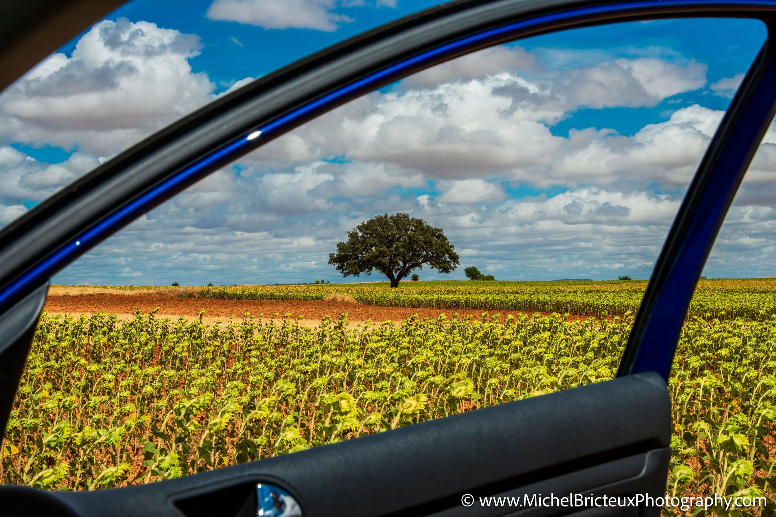 ES-Castilla-La Mancha 2012 9636 LowRes.jpg