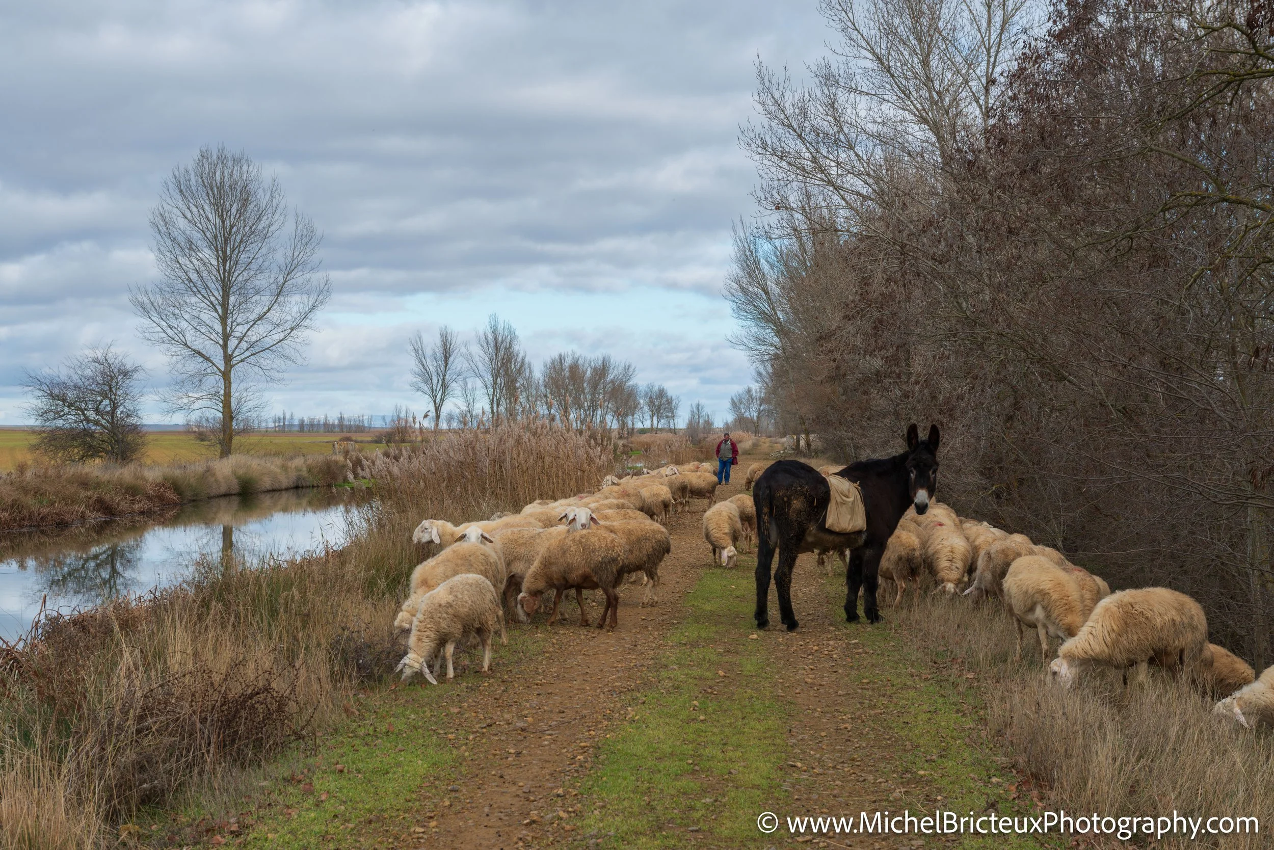 ES-Canal de Castilla 2946 LowRes.jpg