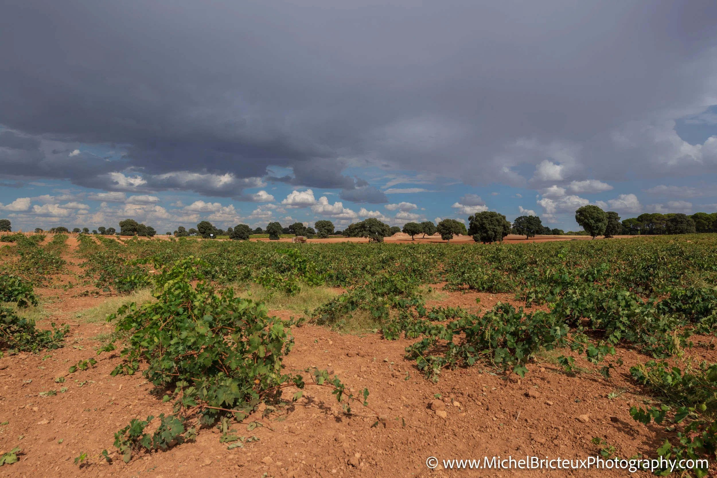 BE-Belgique 09-2014 9710 LowRes.jpg