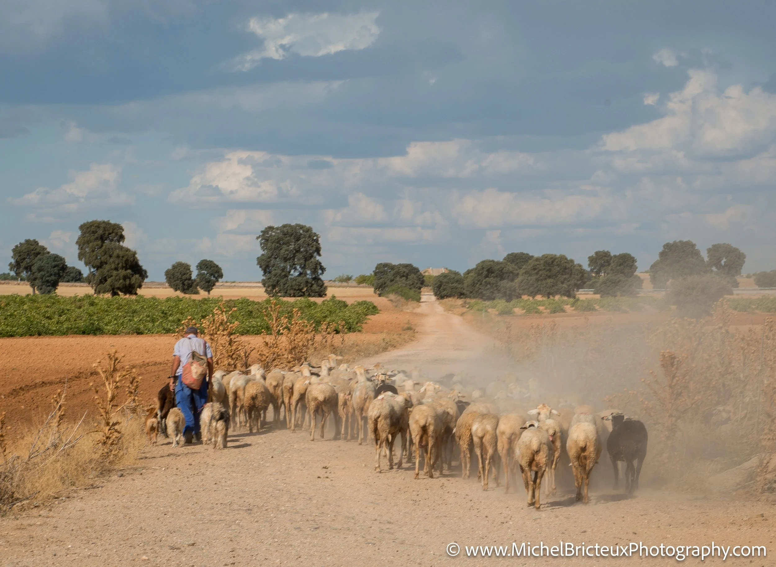 ES-Corral de Almaguer 9780 LowRes.jpg