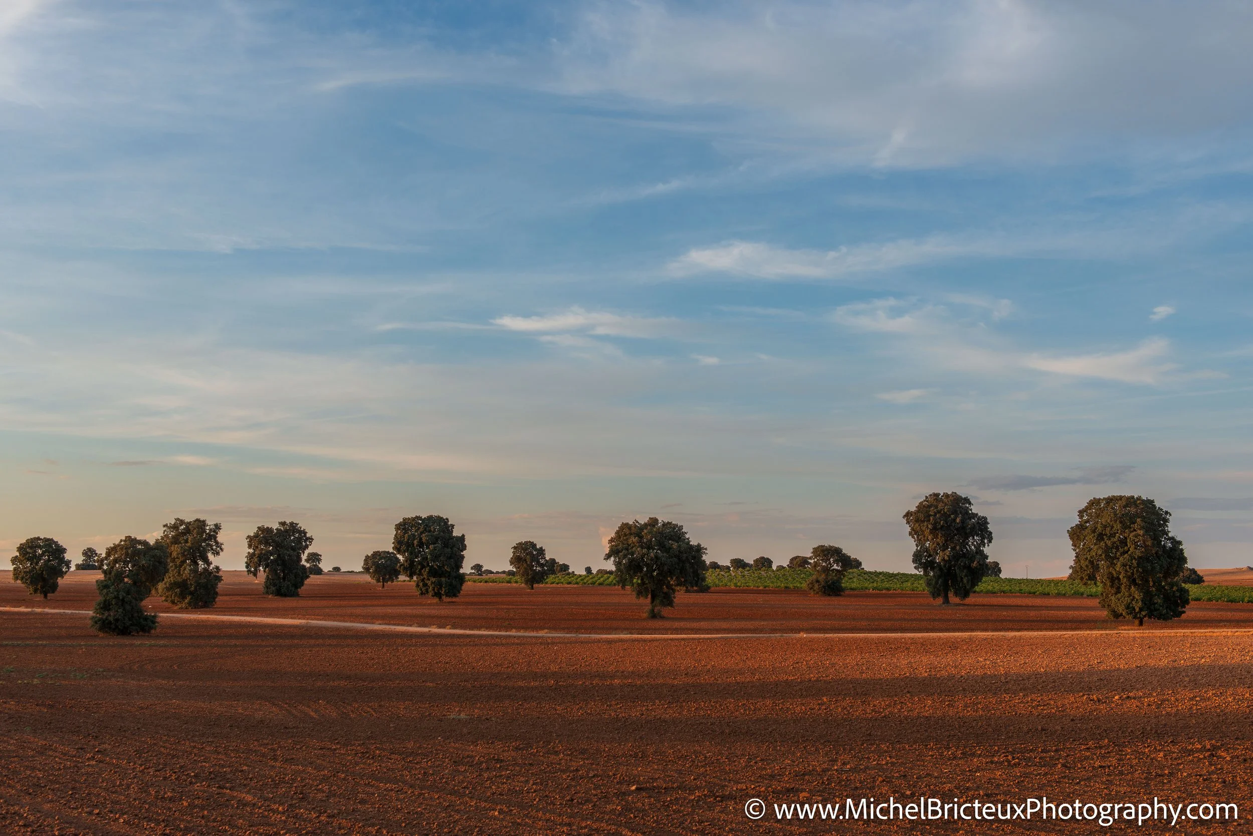 ES-Corral de Almaguer 9897 LowRes.jpg