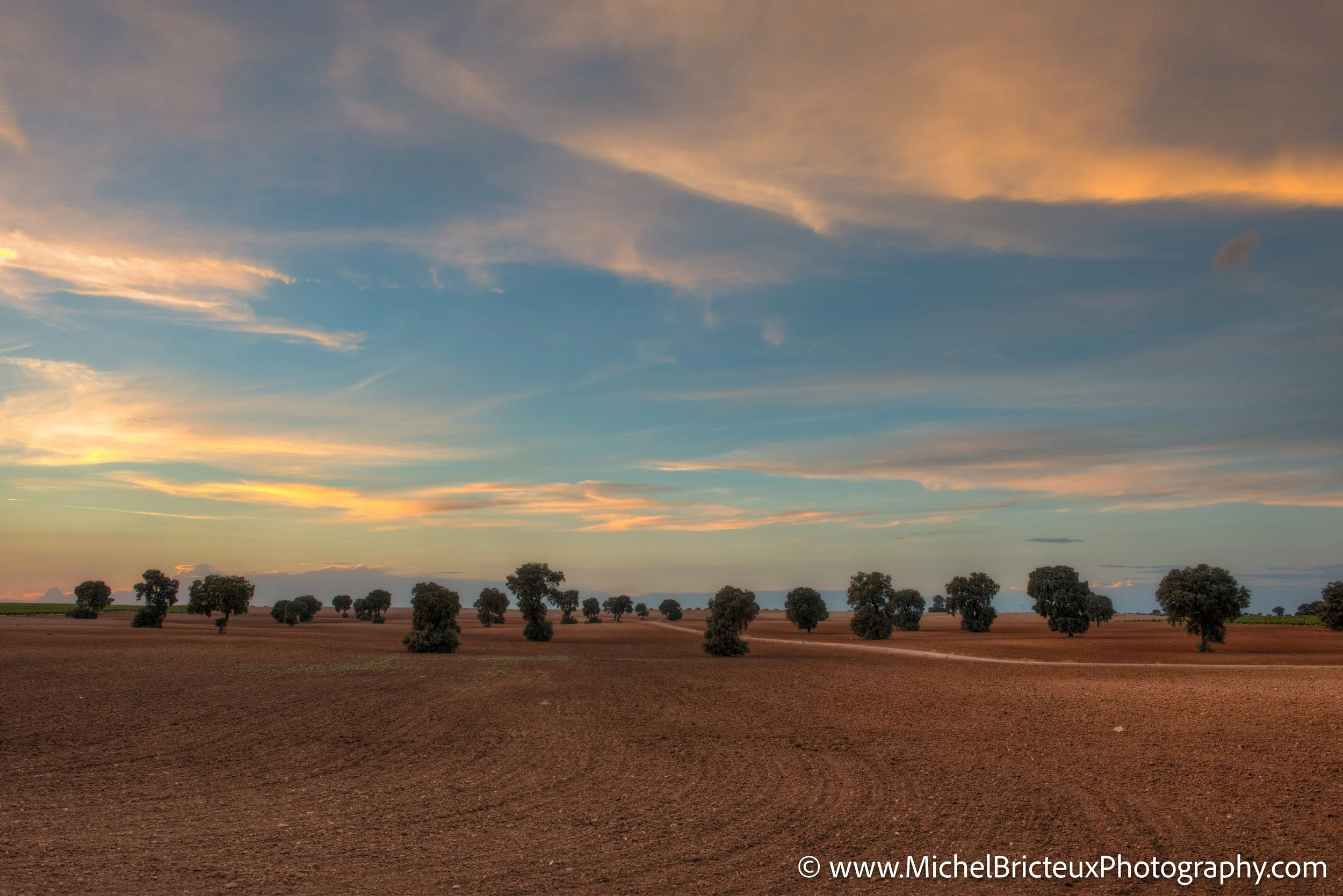 ES-Corral de Almaguer 9919_20_21_22_23_24_25 LowRes.jpg