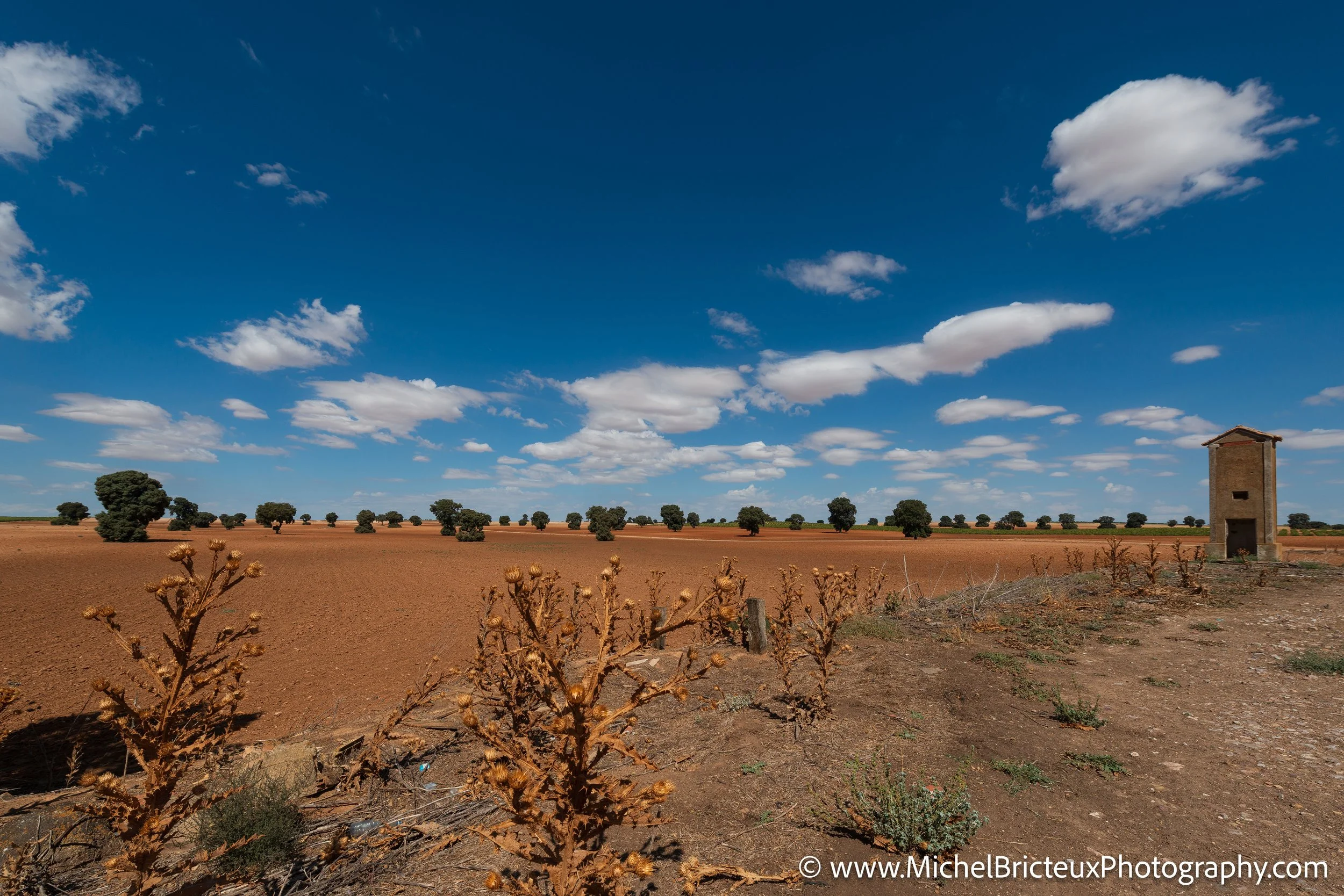 ES-Corral de Almaguer 0123 LowRes.jpg