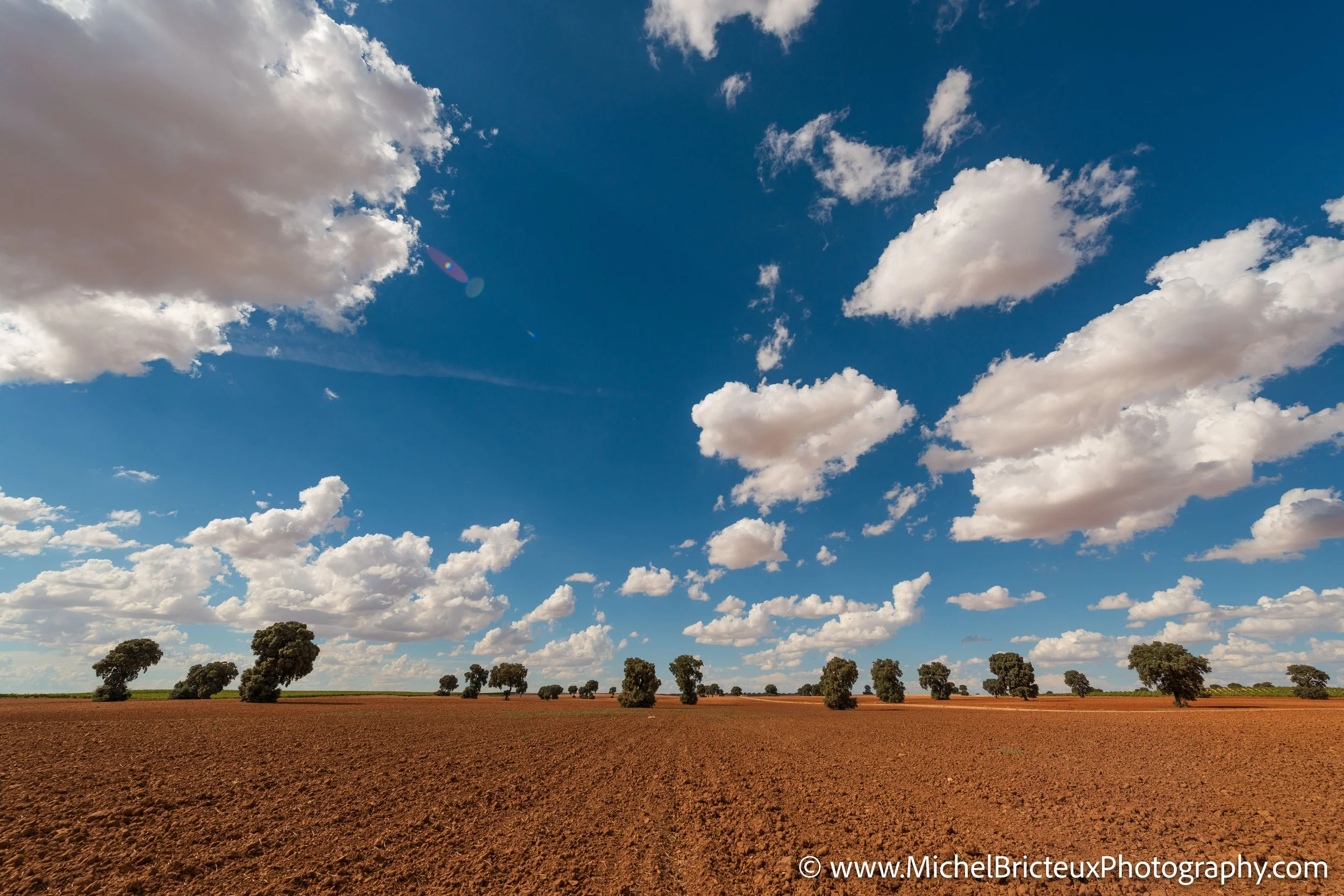 ES-Corral de Almaguer 0137 LowRes.jpg