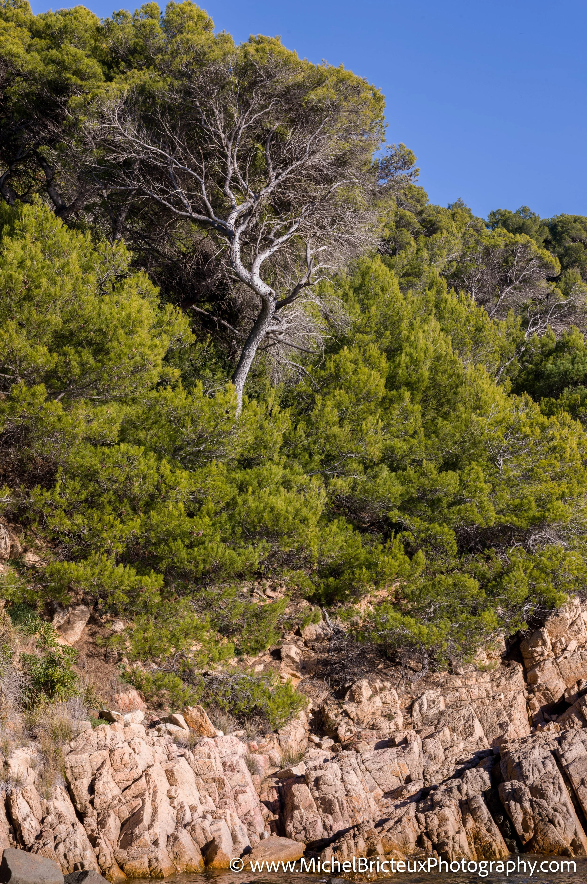 FR-Cote-d'Azur 11-2025 1001487 LowRes.jpg
