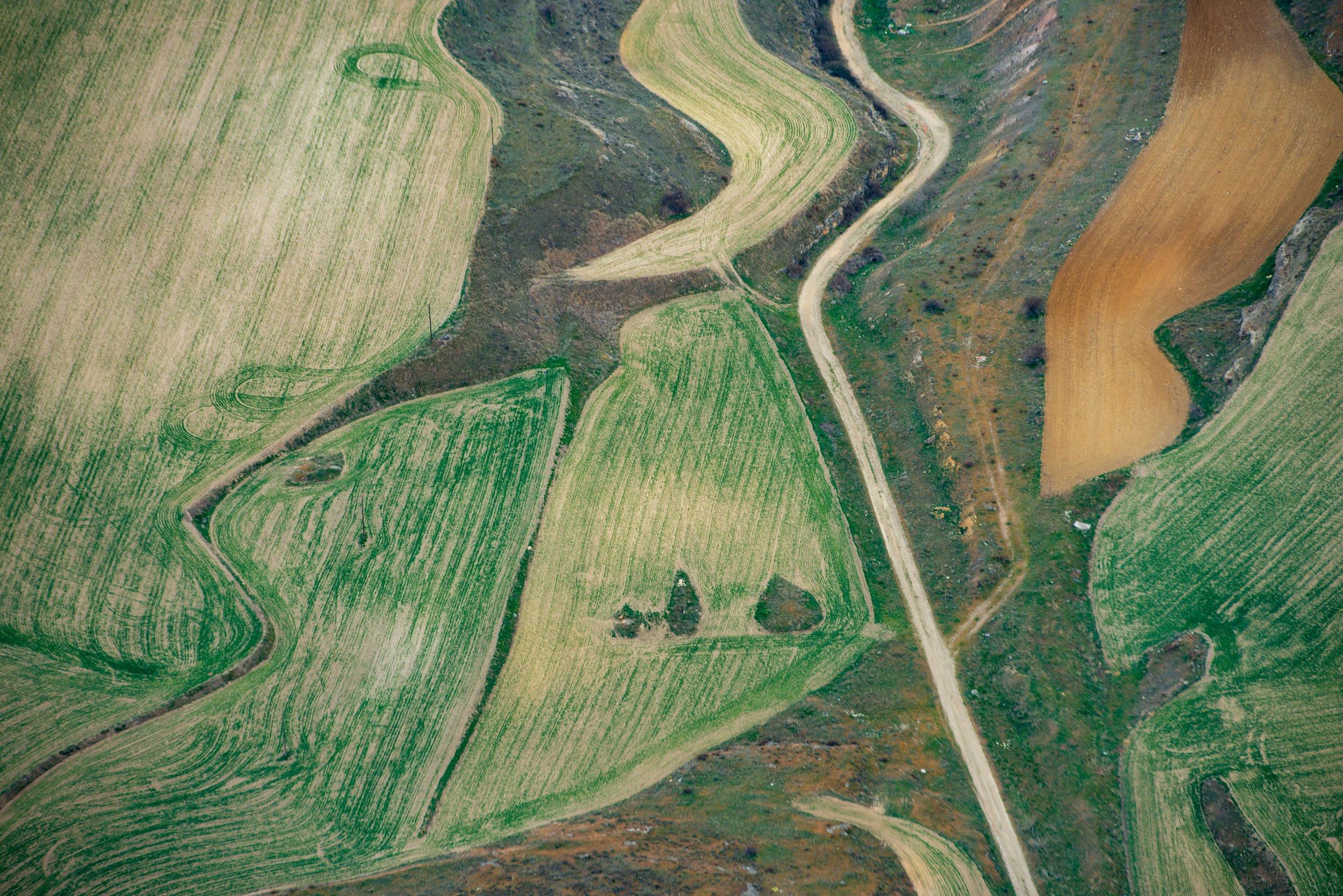 ES-Mongolfiere - Segovia1050 LowRes.jpg