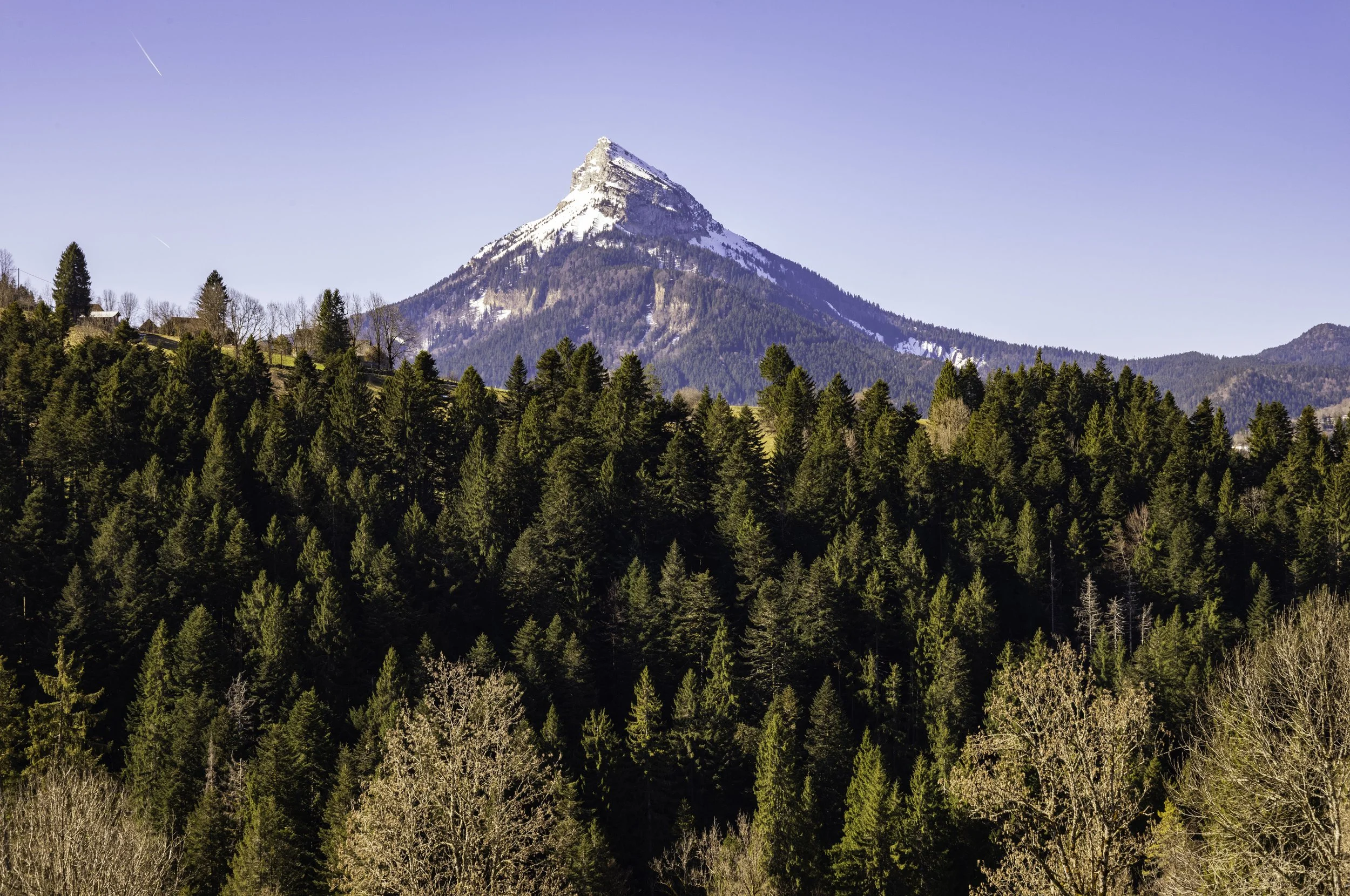 FR-Chartreuse - Saint-Pierre-de-Chartreuse 1003205.jpg