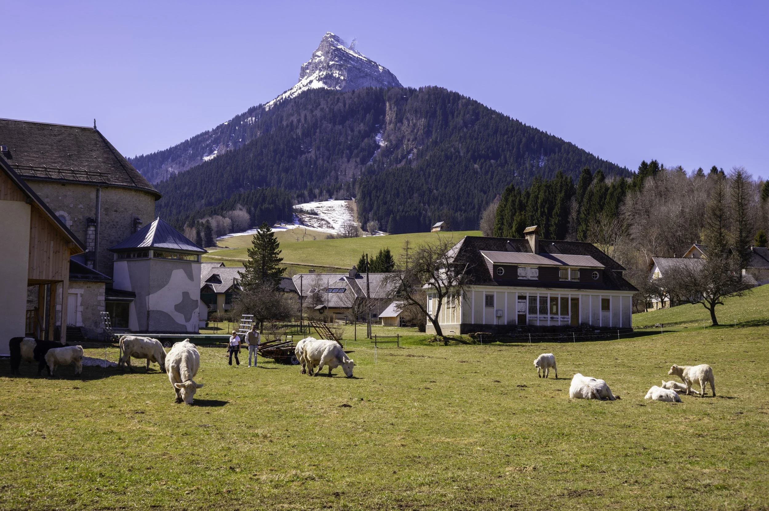 FR-Chartreuse - Saint-Pierre-de-Chartreuse 1003244.jpg