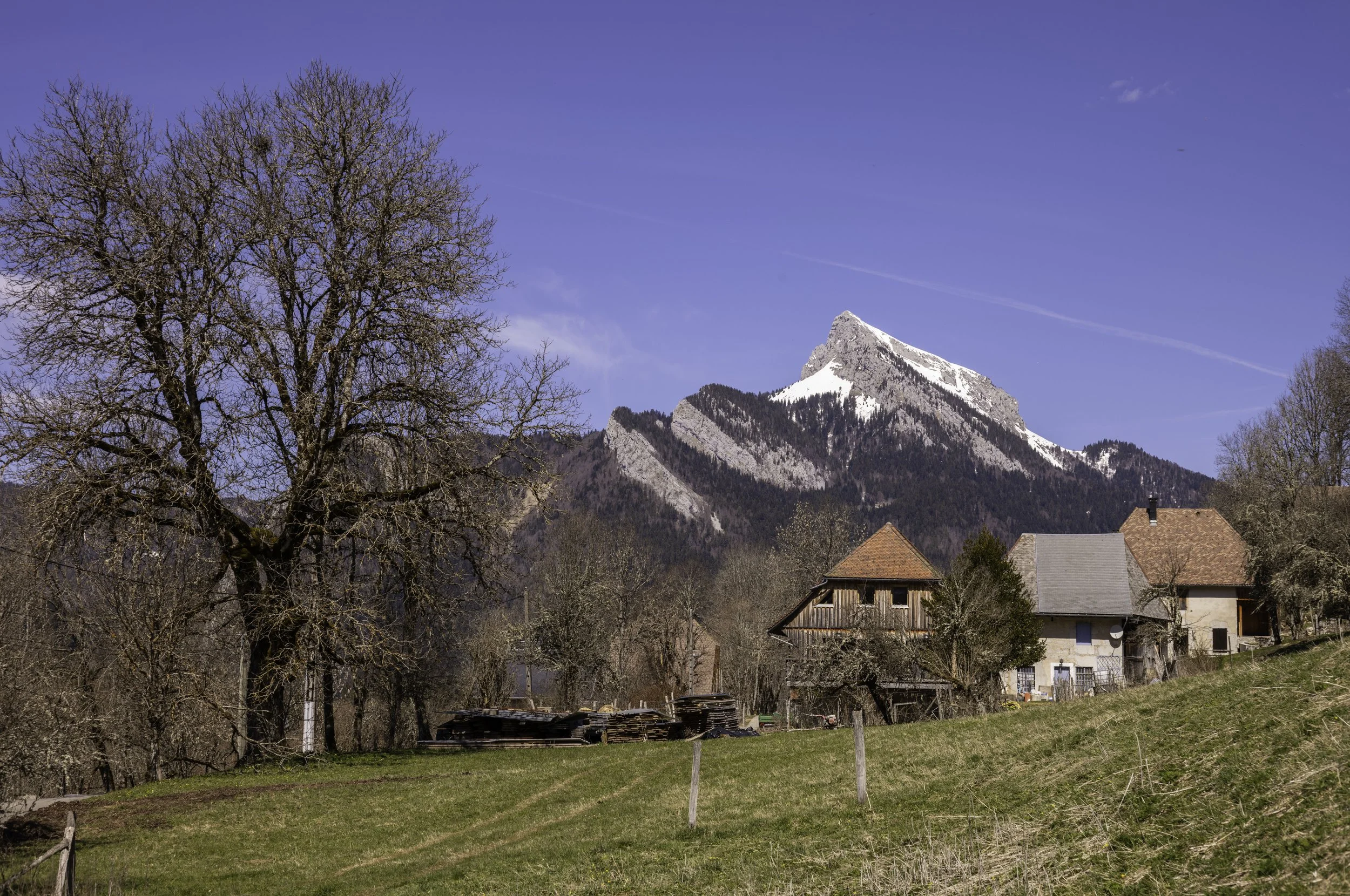 FR-Chartreuse - Saint-Pierre-de-Chartreuse 1003252.jpg