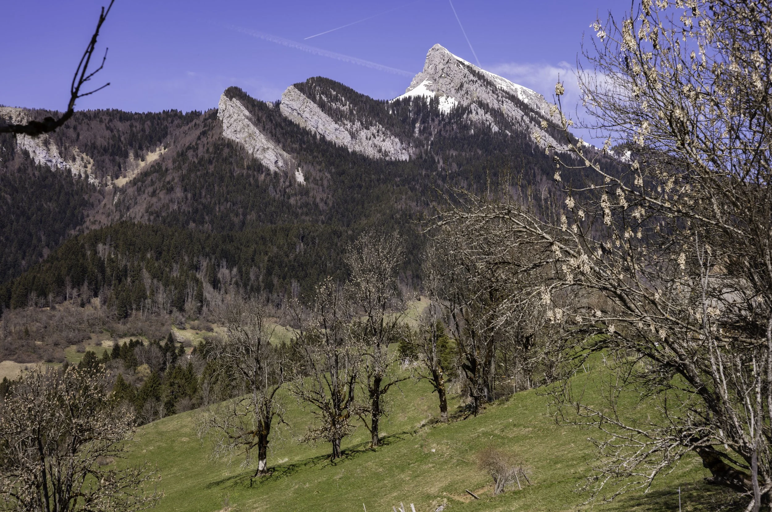 FR-Chartreuse - Saint-Pierre-de-Chartreuse 1003259.jpg