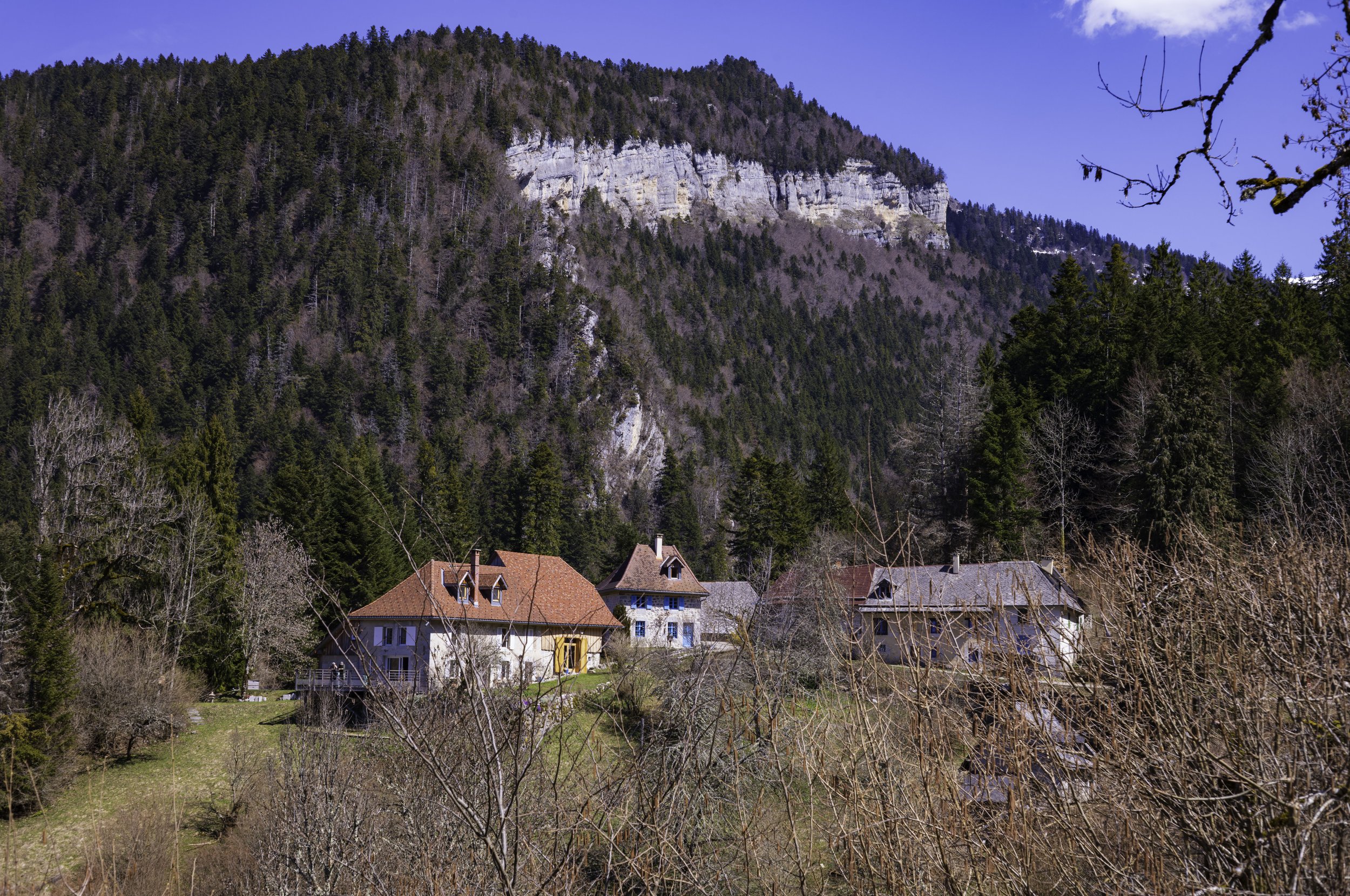 FR-Chartreuse - Saint-Pierre-de-Chartreuse 1003268.jpg