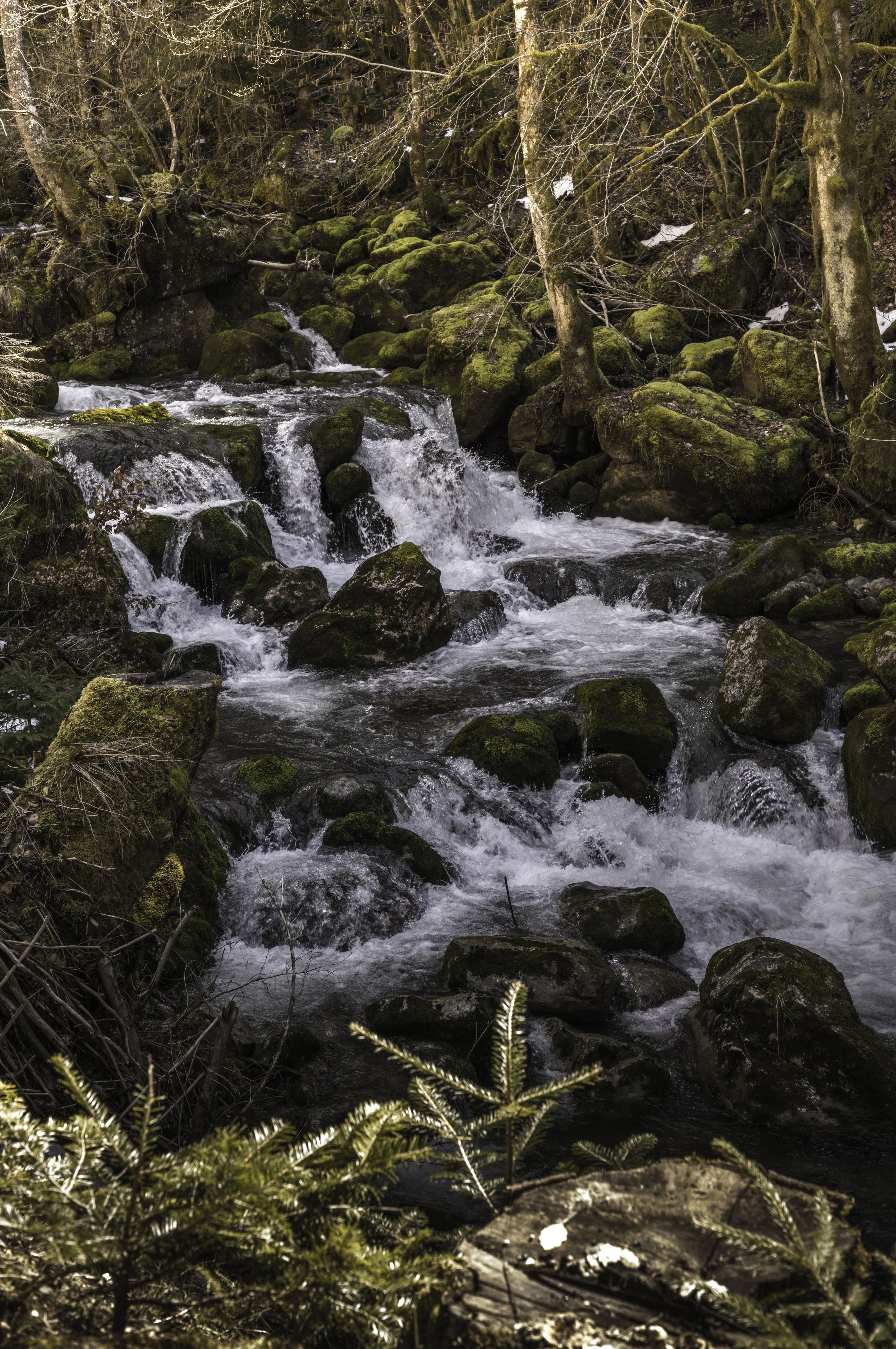 FR-Chartreuse - Saint-Pierre-de-Chartreuse 1003290.jpg