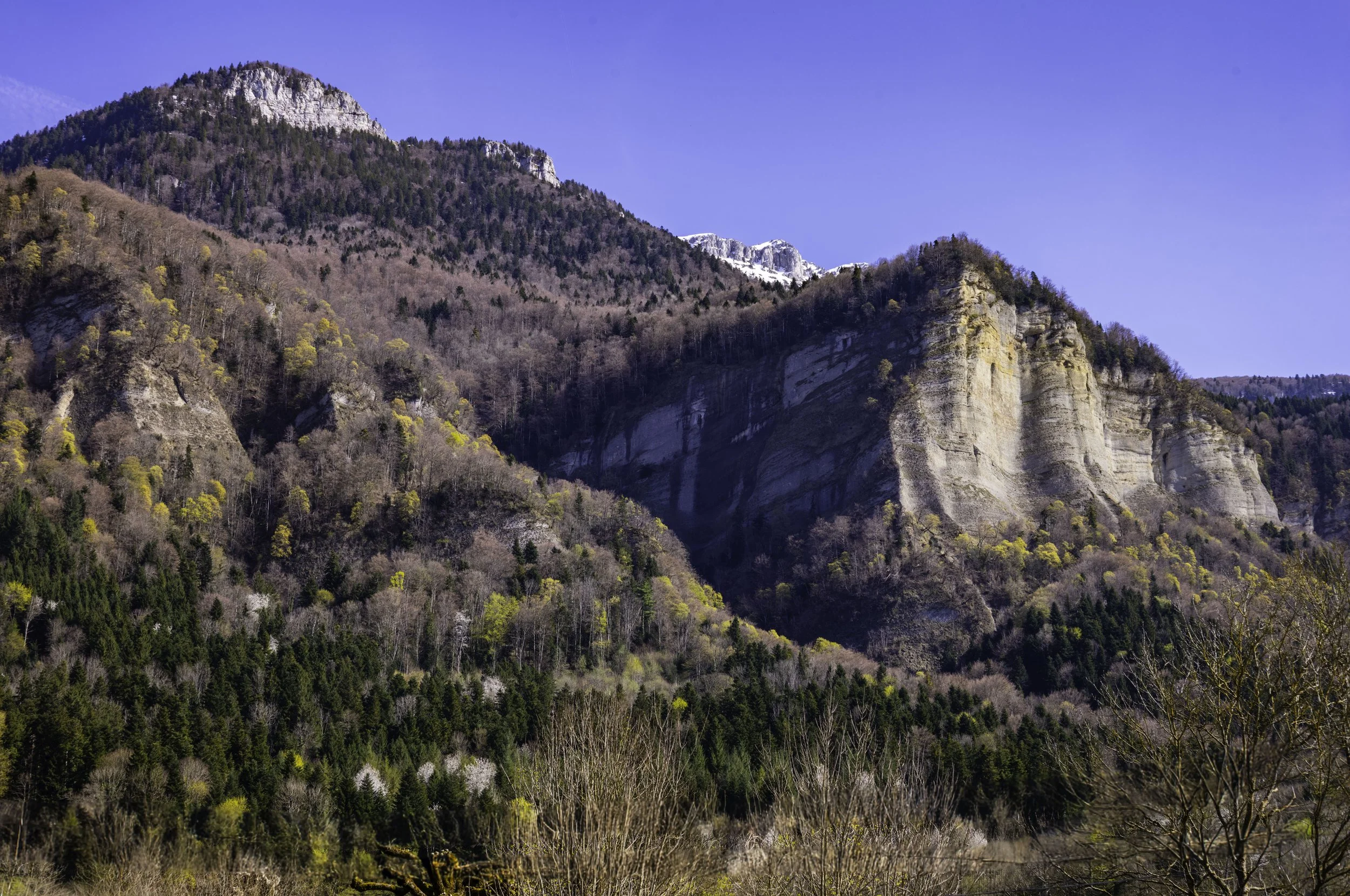 FR-Chartreuse - Saint-Pierre-de-Chartreuse 1003366.jpg
