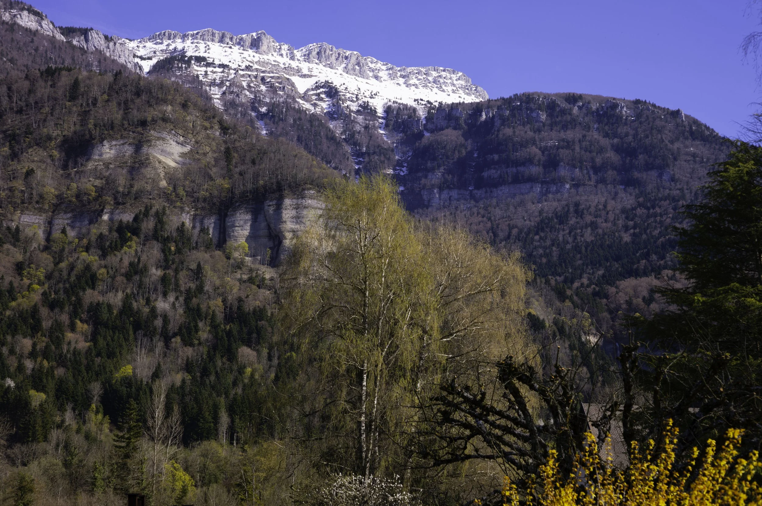 FR-Chartreuse - Saint-Pierre-de-Chartreuse 1003372.jpg