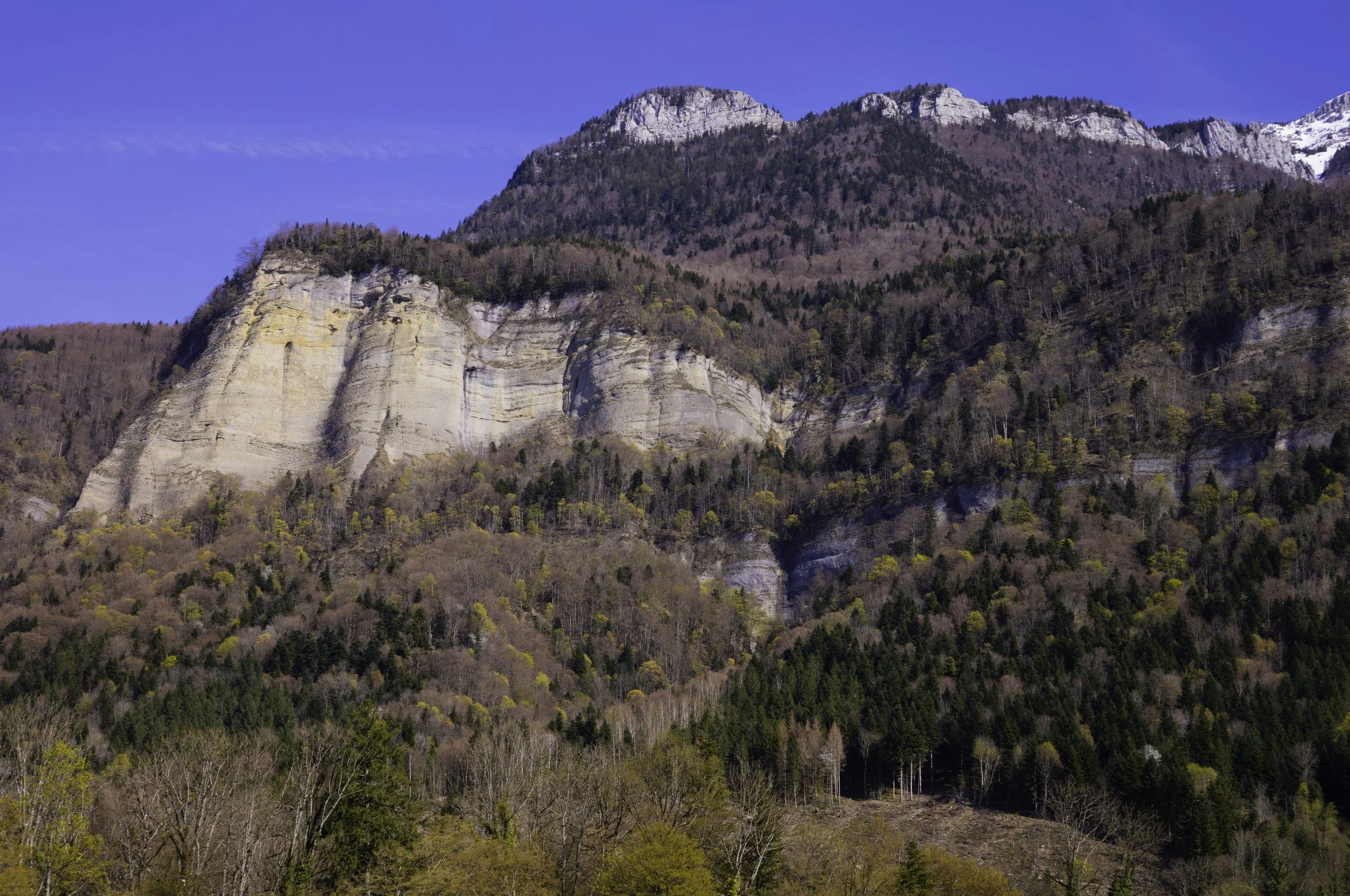 FR-Chartreuse - Saint-Pierre-de-Chartreuse 1003375.jpg