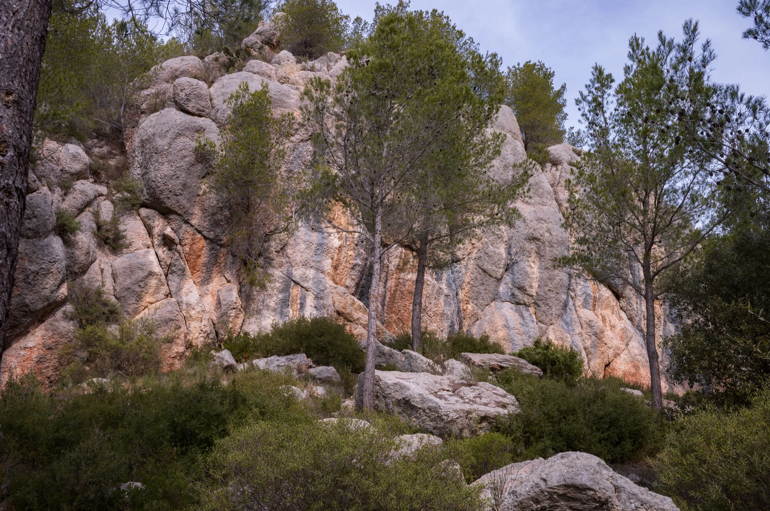 FR-Aix-en-Provence et Sainte-Victoire 1005989 LowRes.jpg