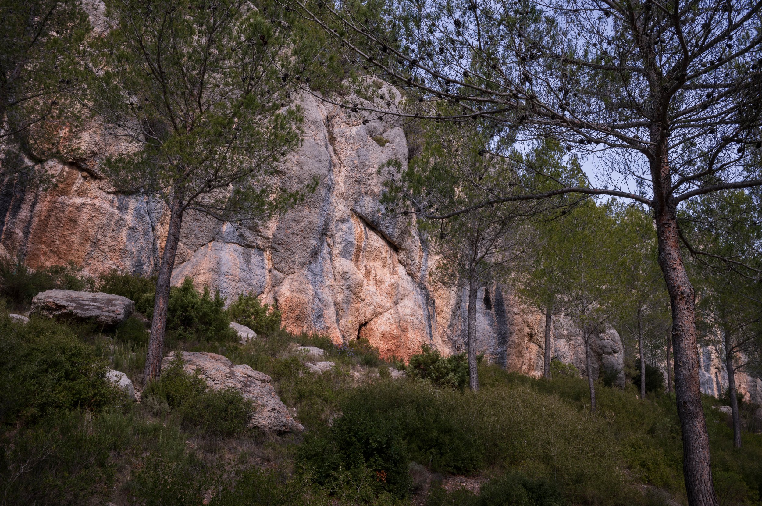 FR-Aix-en-Provence et Sainte-Victoire 1005990 LowRes.jpg