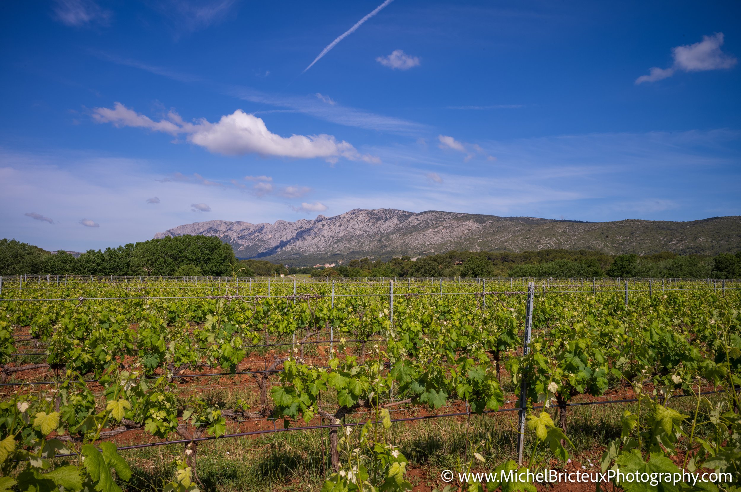 FR-Sainte-Victoire 05-2025 1007433 LowRes.jpg