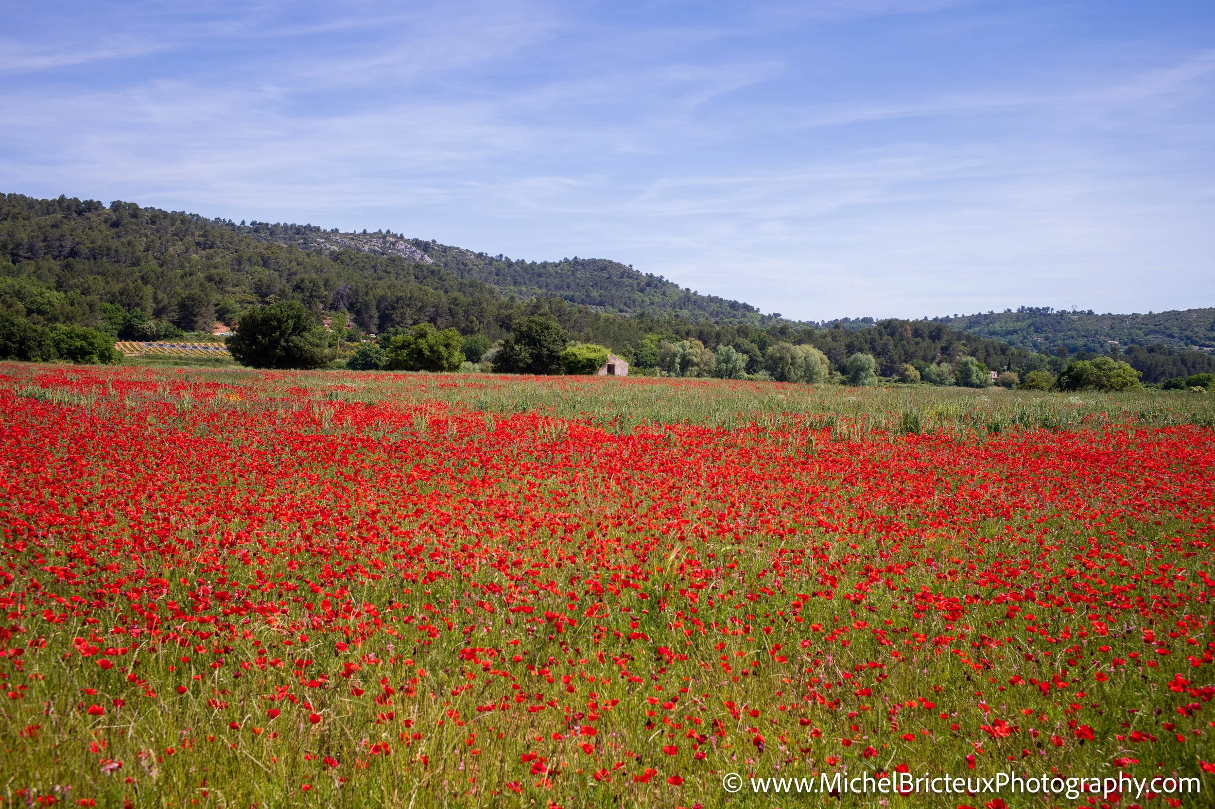 FR-Pourrieres 1007954 LowRes.jpg