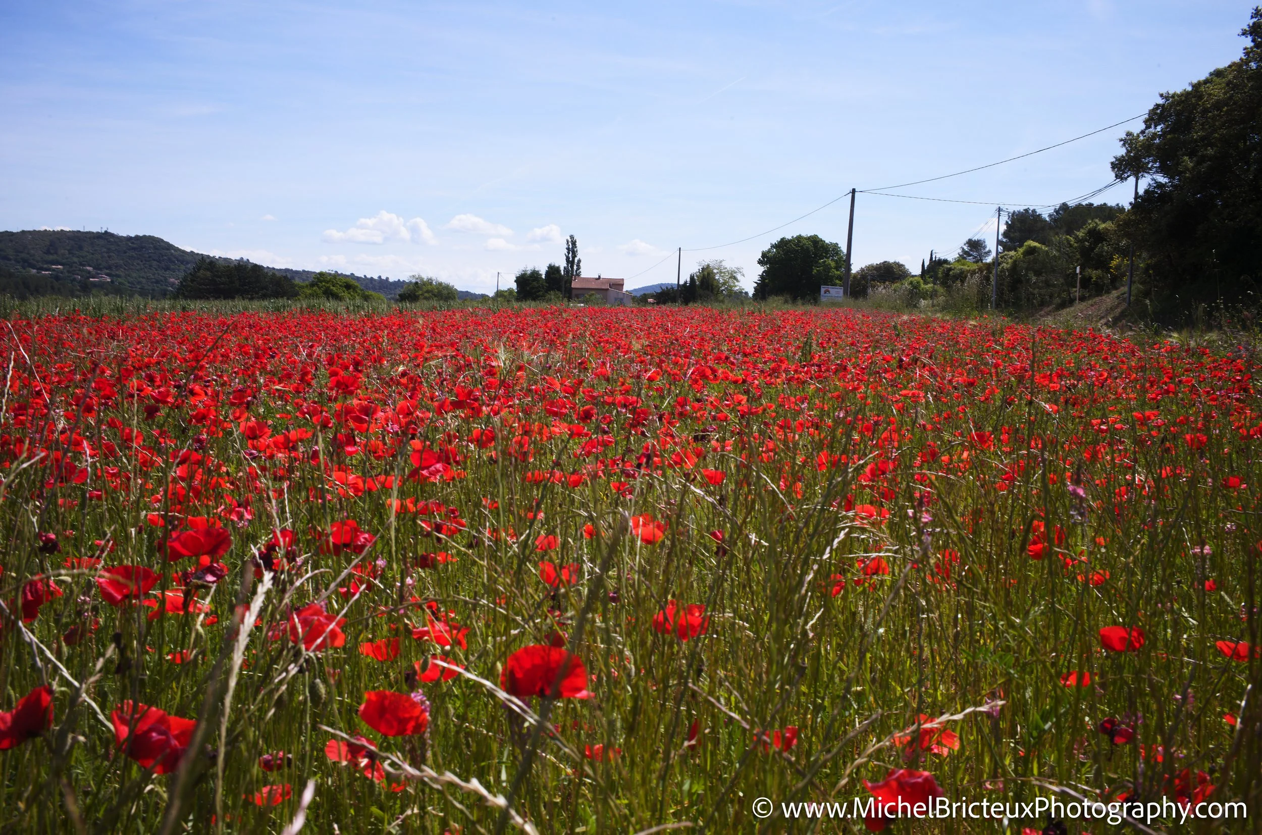 FR-Pourrieres 1007981 LowRes.jpg