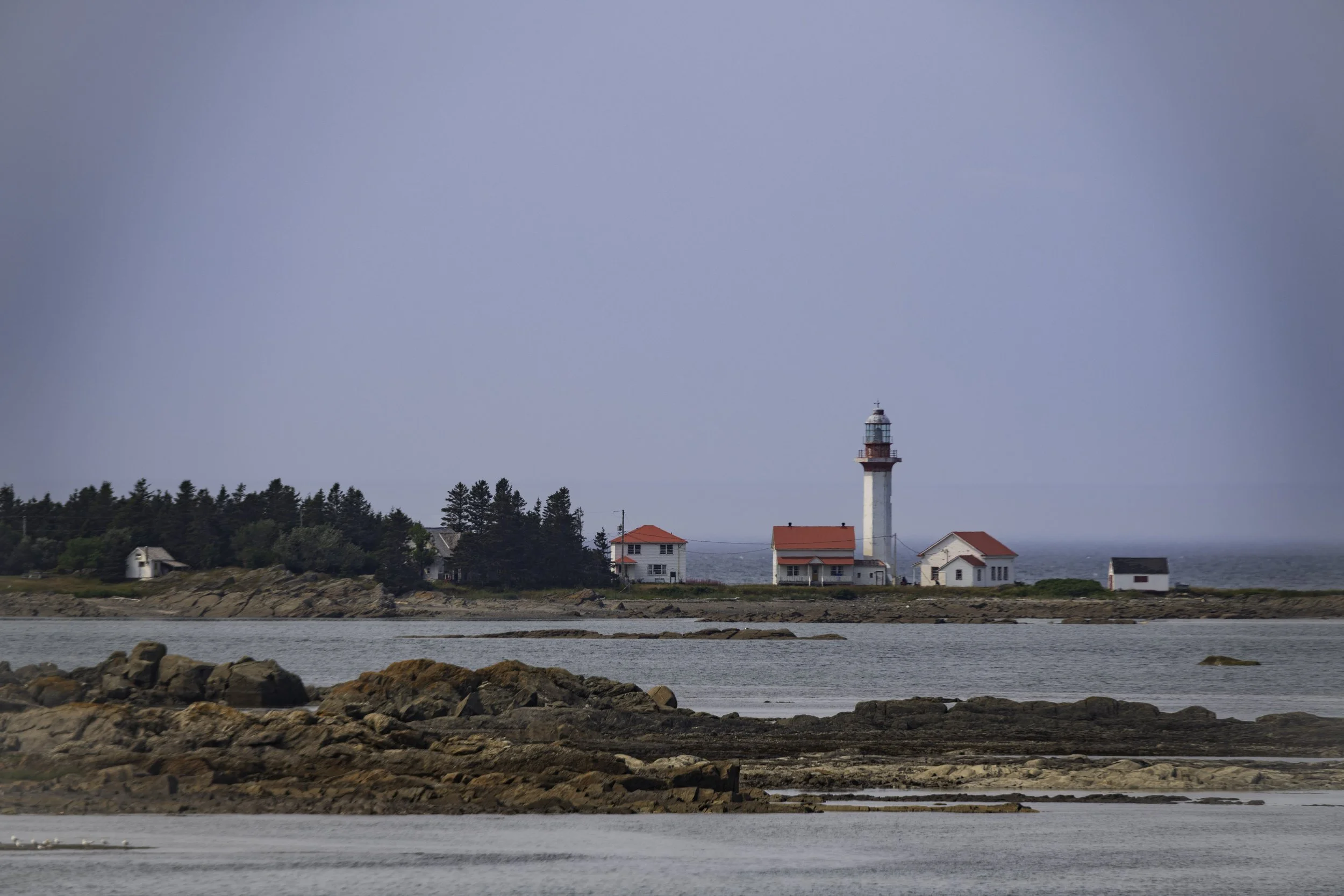 CA-Gaspesie - New Brunswick - Nova scotia 2018 2685.jpg