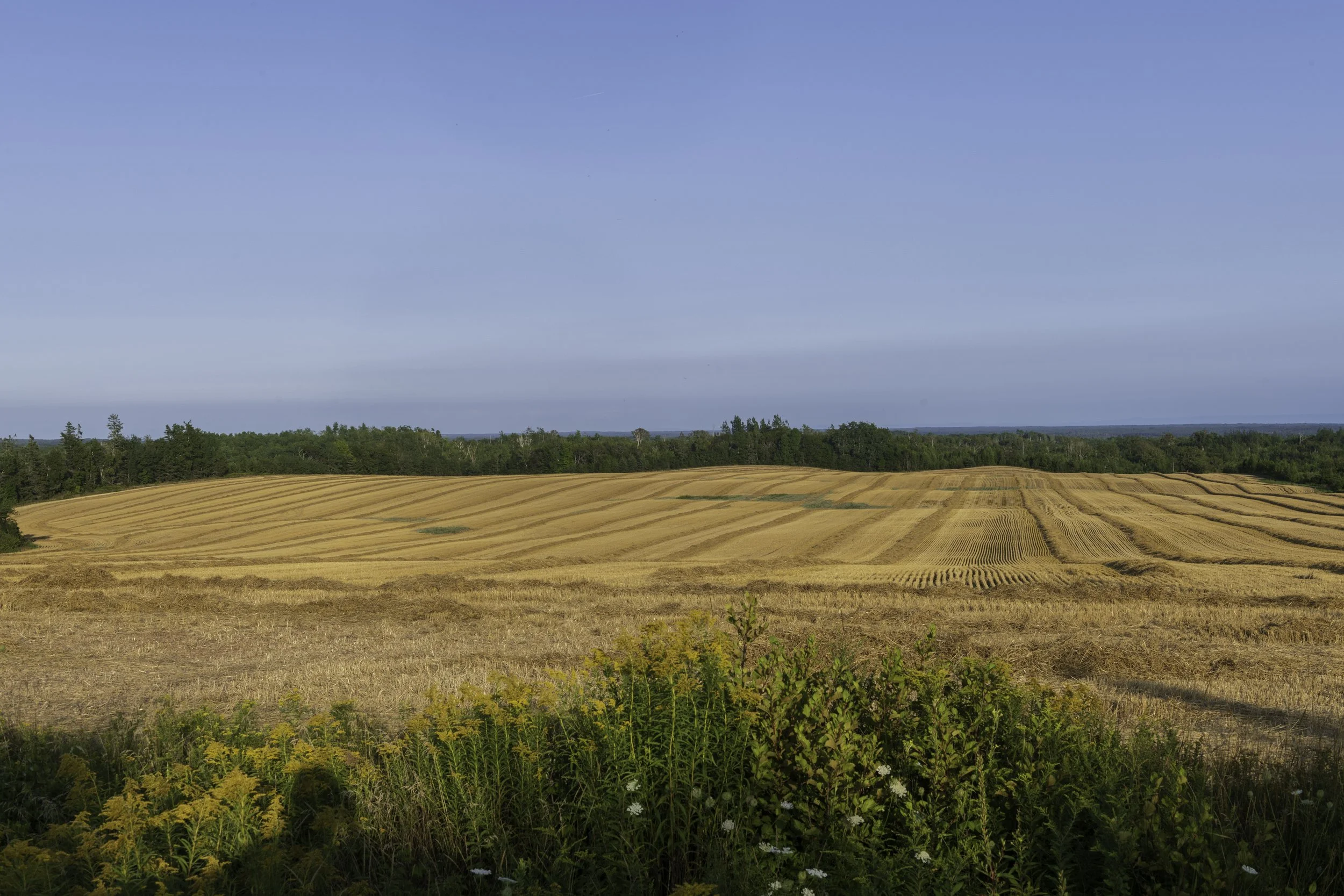 CA-Gaspesie - New Brunswick - Nova scotia 2018 4873-2.jpg