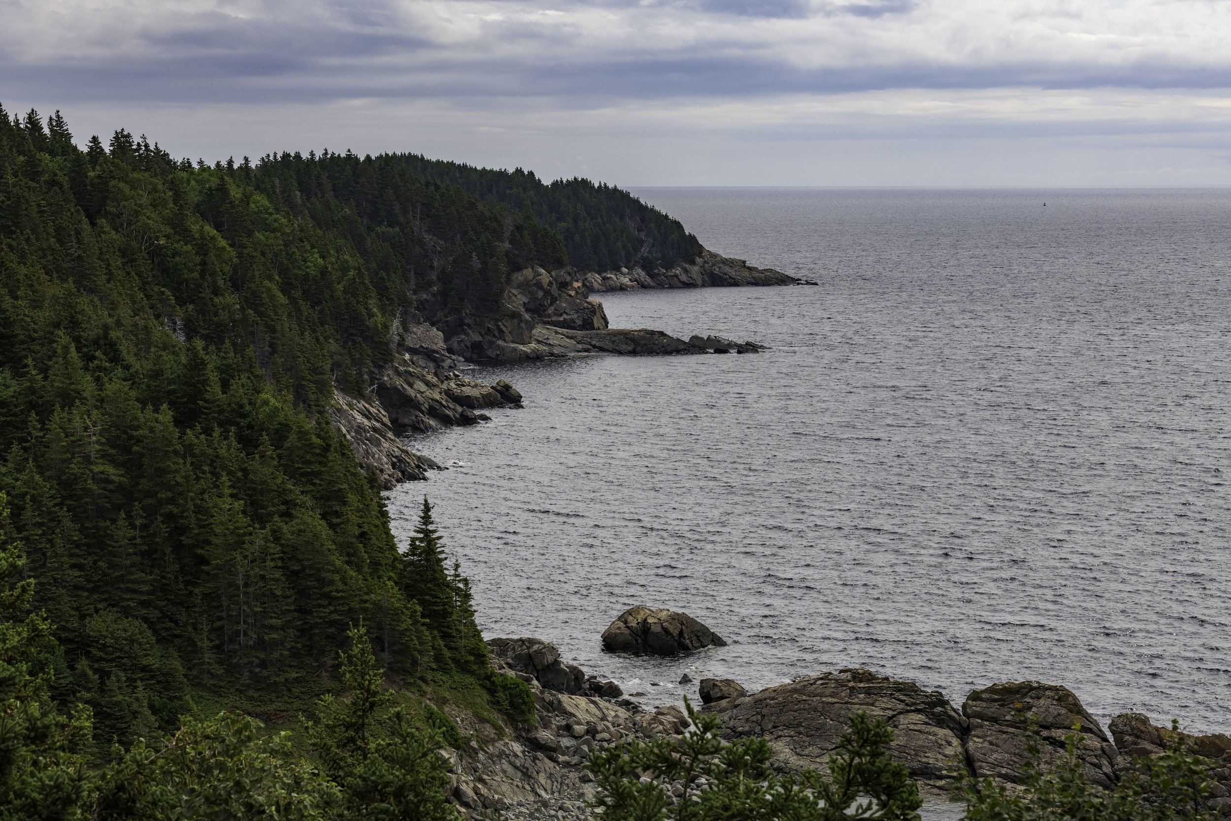 CA-Gaspesie - New Brunswick - Nova scotia 2018 5165.jpg
