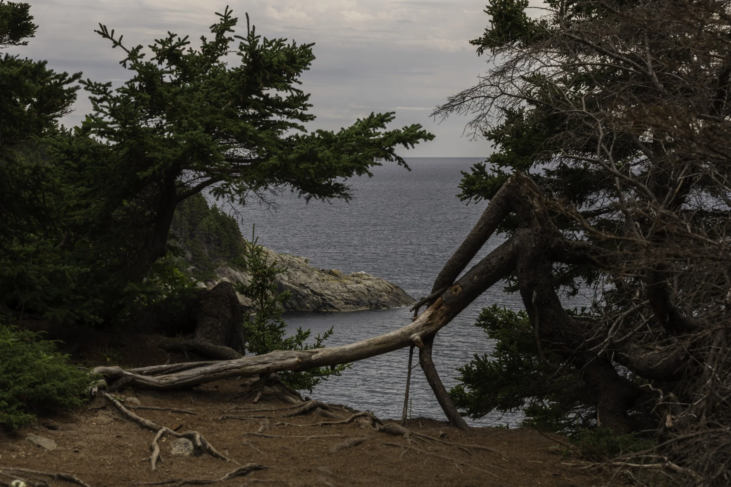 CA-Gaspesie - New Brunswick - Nova scotia 2018 5219.jpg