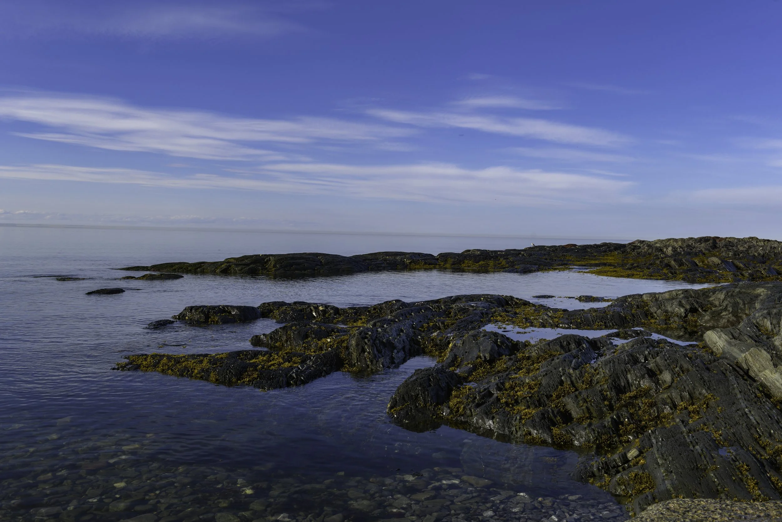 CA-Gaspesie - New Brunswick - Nova scotia 2018 2510.jpg
