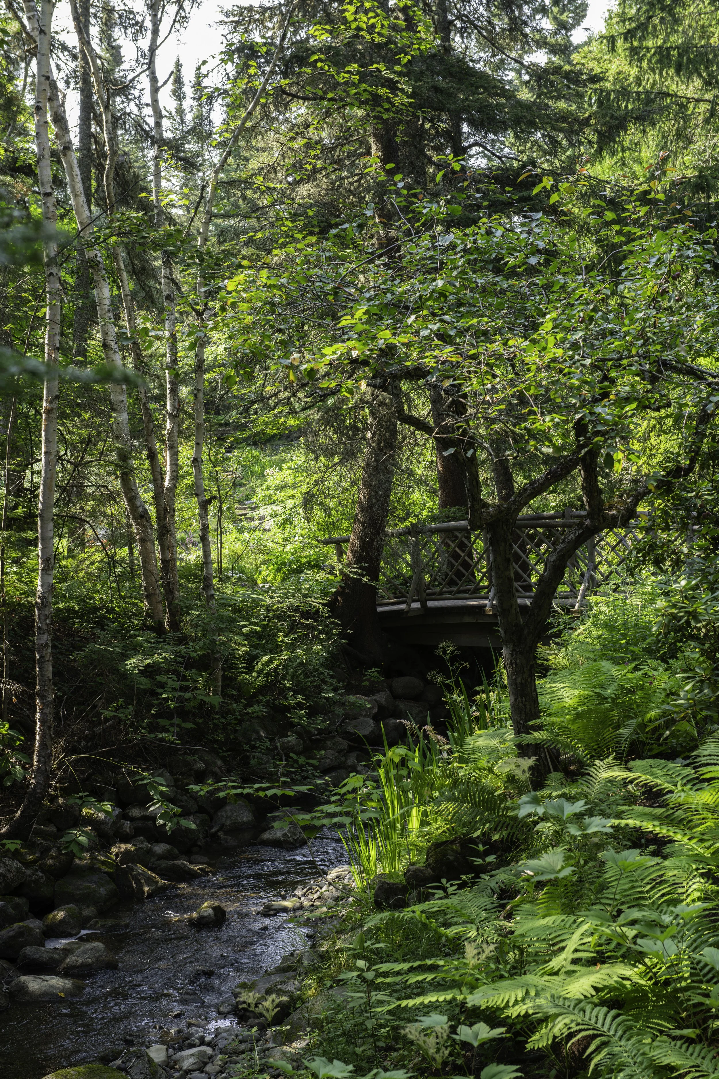 CA-Gaspesie - New Brunswick - Nova scotia 2018 2570.jpg