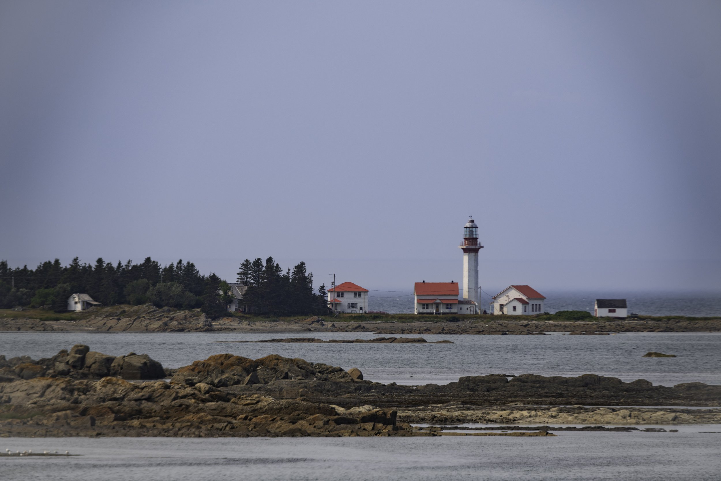 CA-Gaspesie - New Brunswick - Nova scotia 2018 2685.jpg