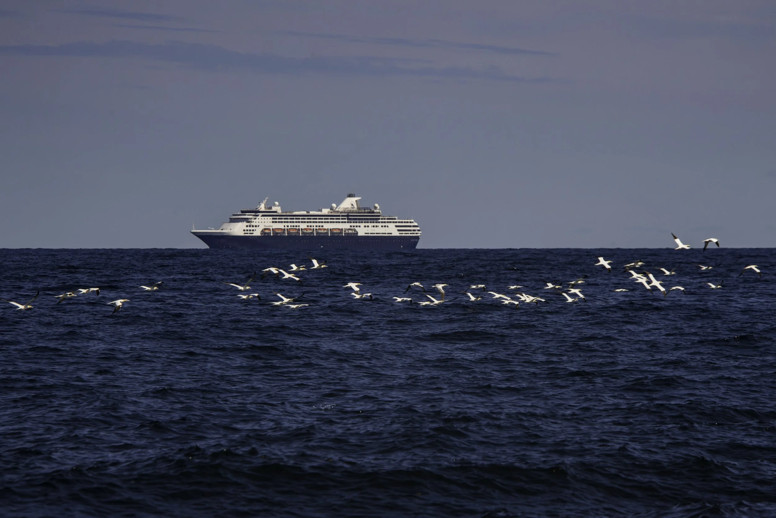 CA-Gaspesie - New Brunswick - Nova scotia 2018 3249.jpg