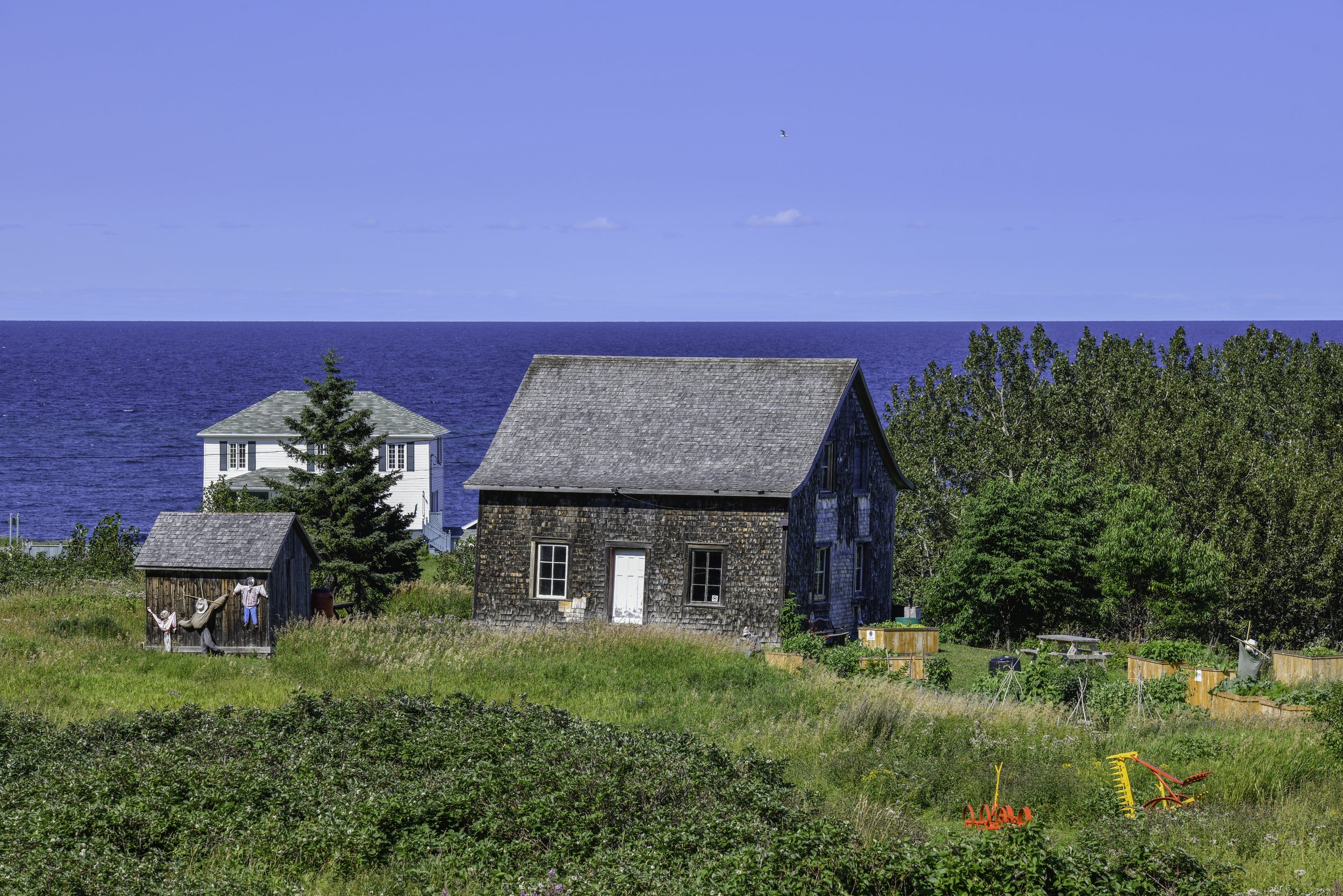 CA-Gaspesie - New Brunswick - Nova scotia 2018 3358.jpg