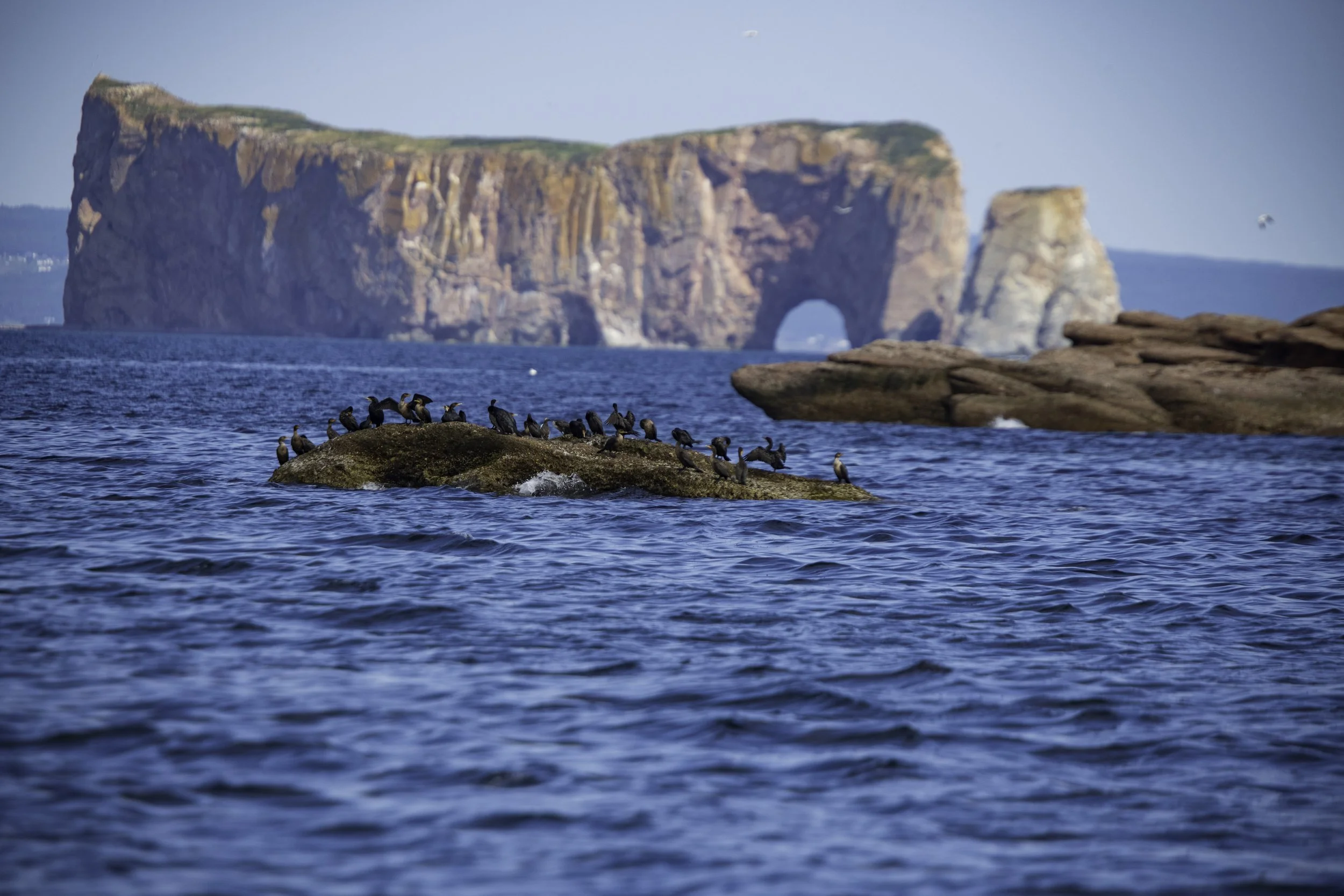 CA-Gaspesie - New Brunswick - Nova scotia 2018 3653.jpg