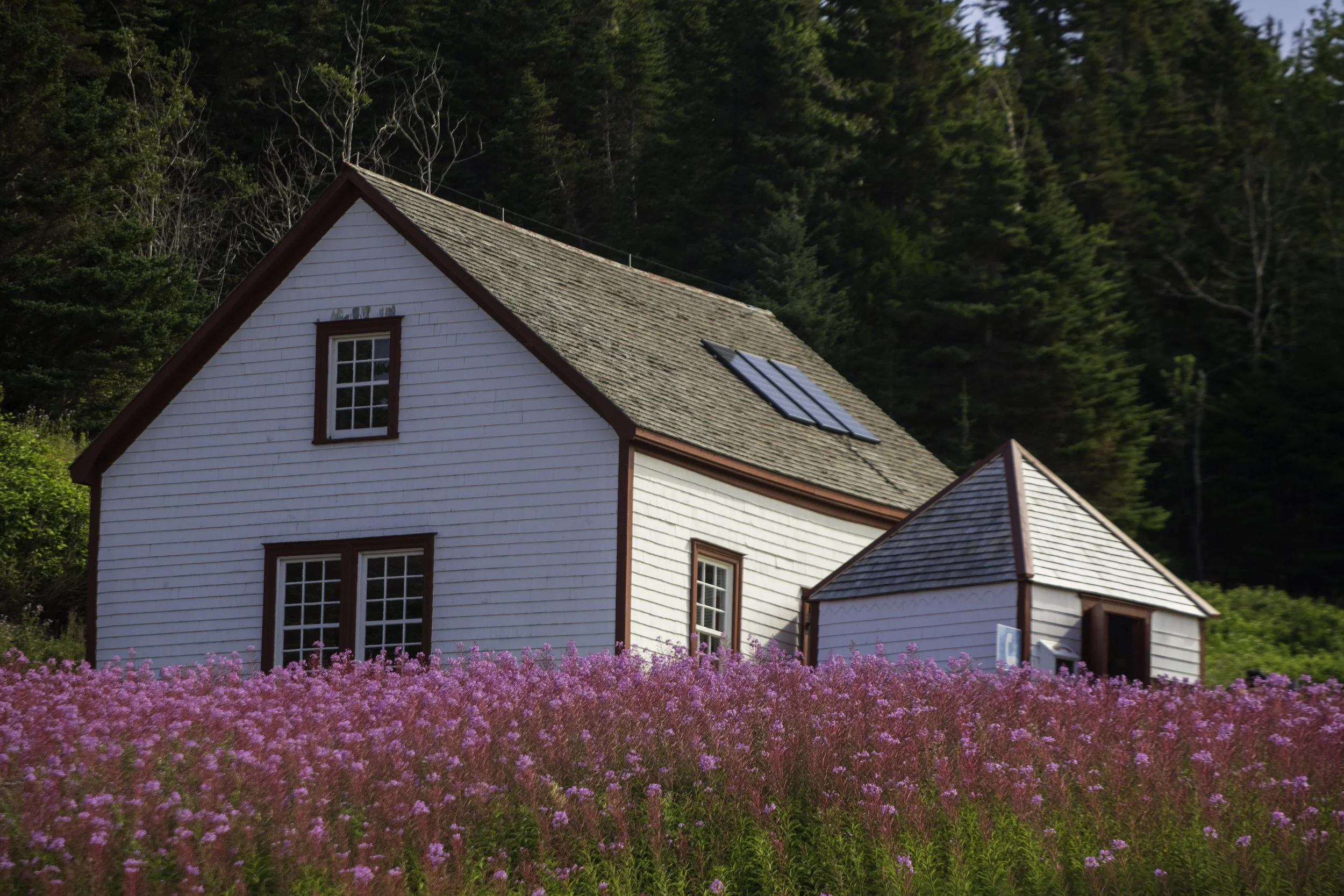CA-Gaspesie - New Brunswick - Nova scotia 2018 3753.jpg