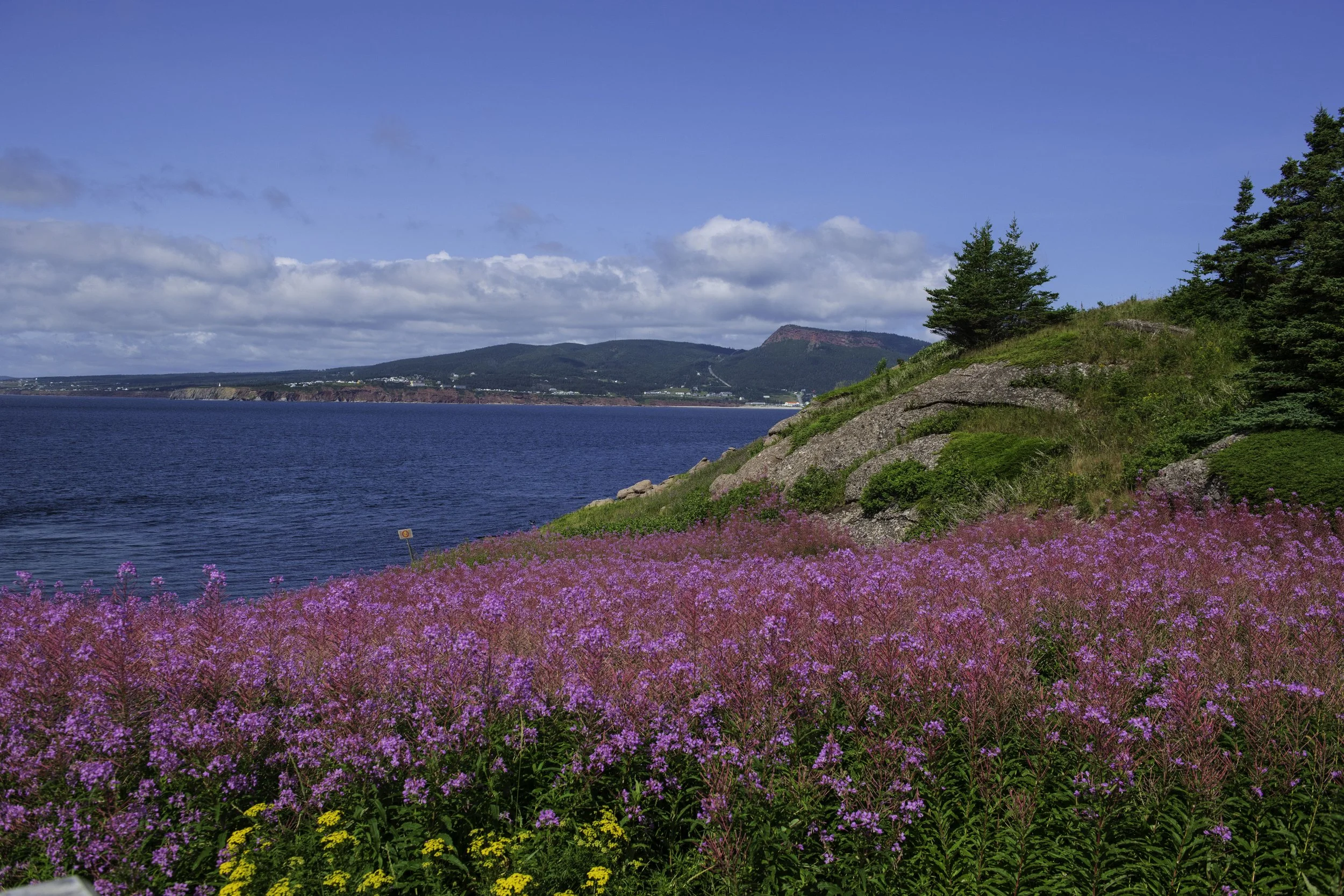 CA-Gaspesie - New Brunswick - Nova scotia 2018 3754.jpg