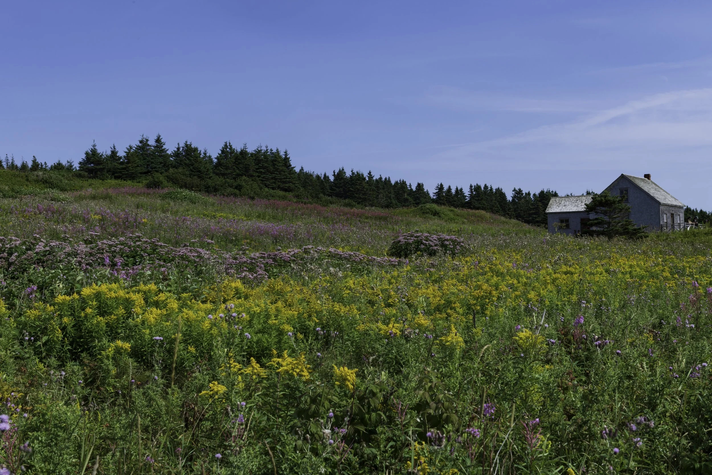 CA-Gaspesie - New Brunswick - Nova scotia 2018 4628.jpg