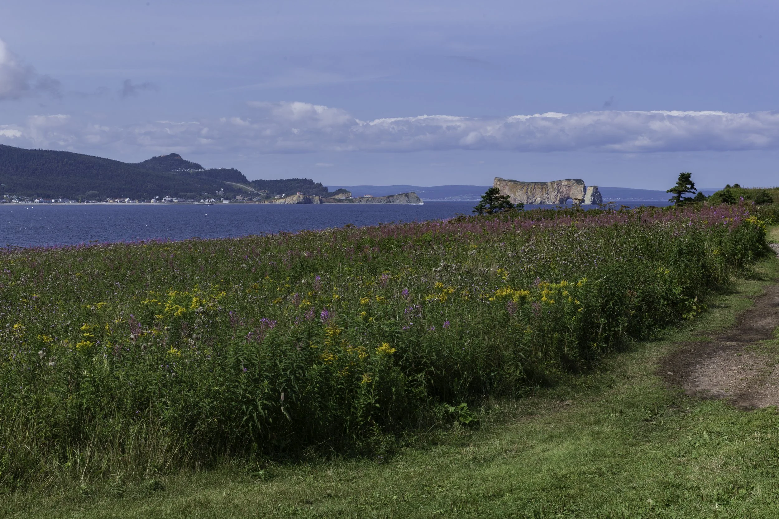 CA-Gaspesie - New Brunswick - Nova scotia 2018 4631.jpg