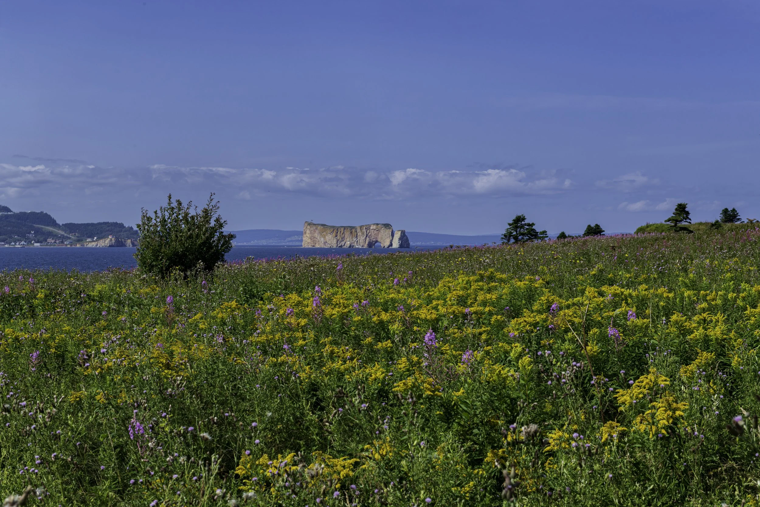 CA-Gaspesie - New Brunswick - Nova scotia 2018 4632.jpg