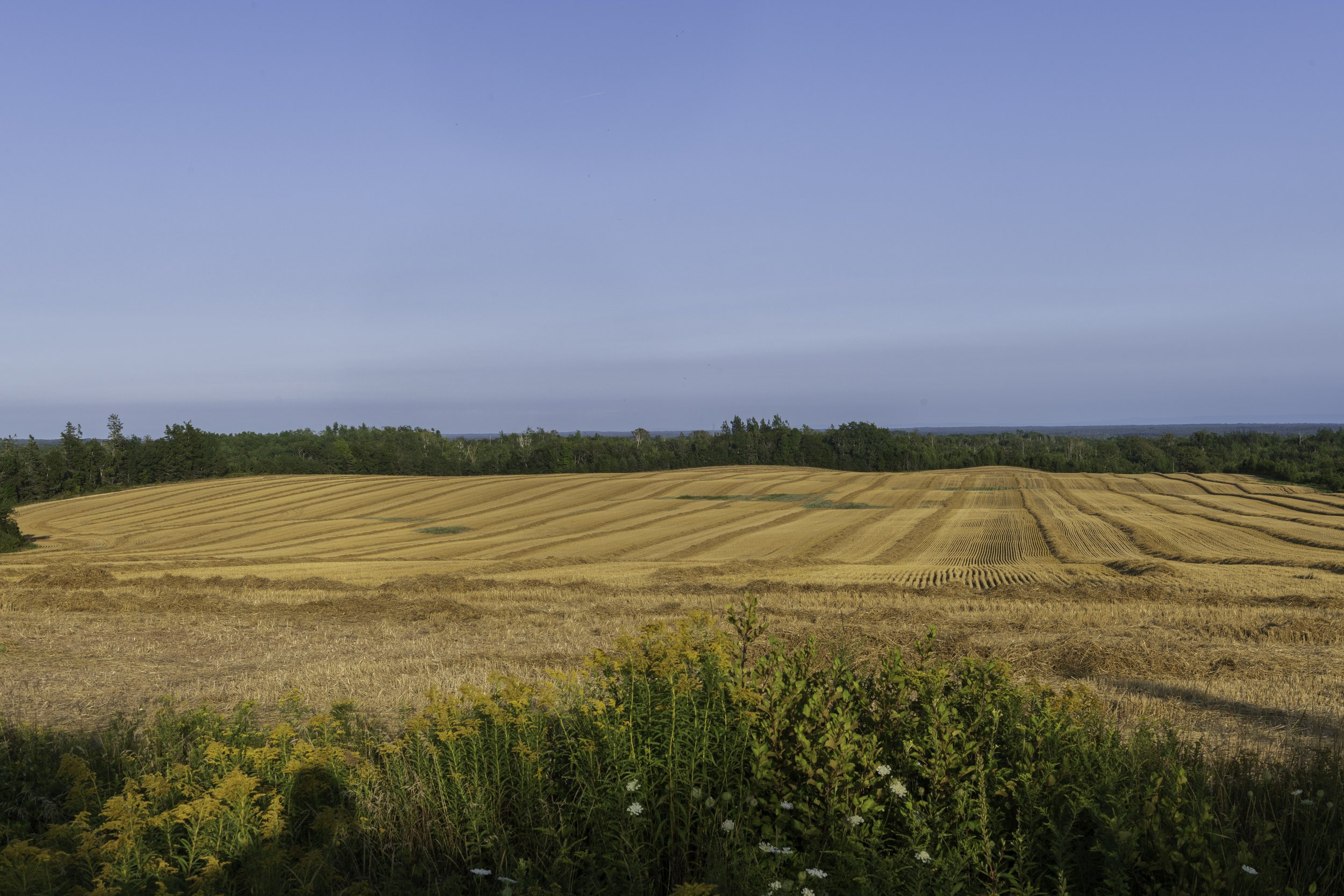 CA-Gaspesie - New Brunswick - Nova scotia 2018 4873-2.jpg