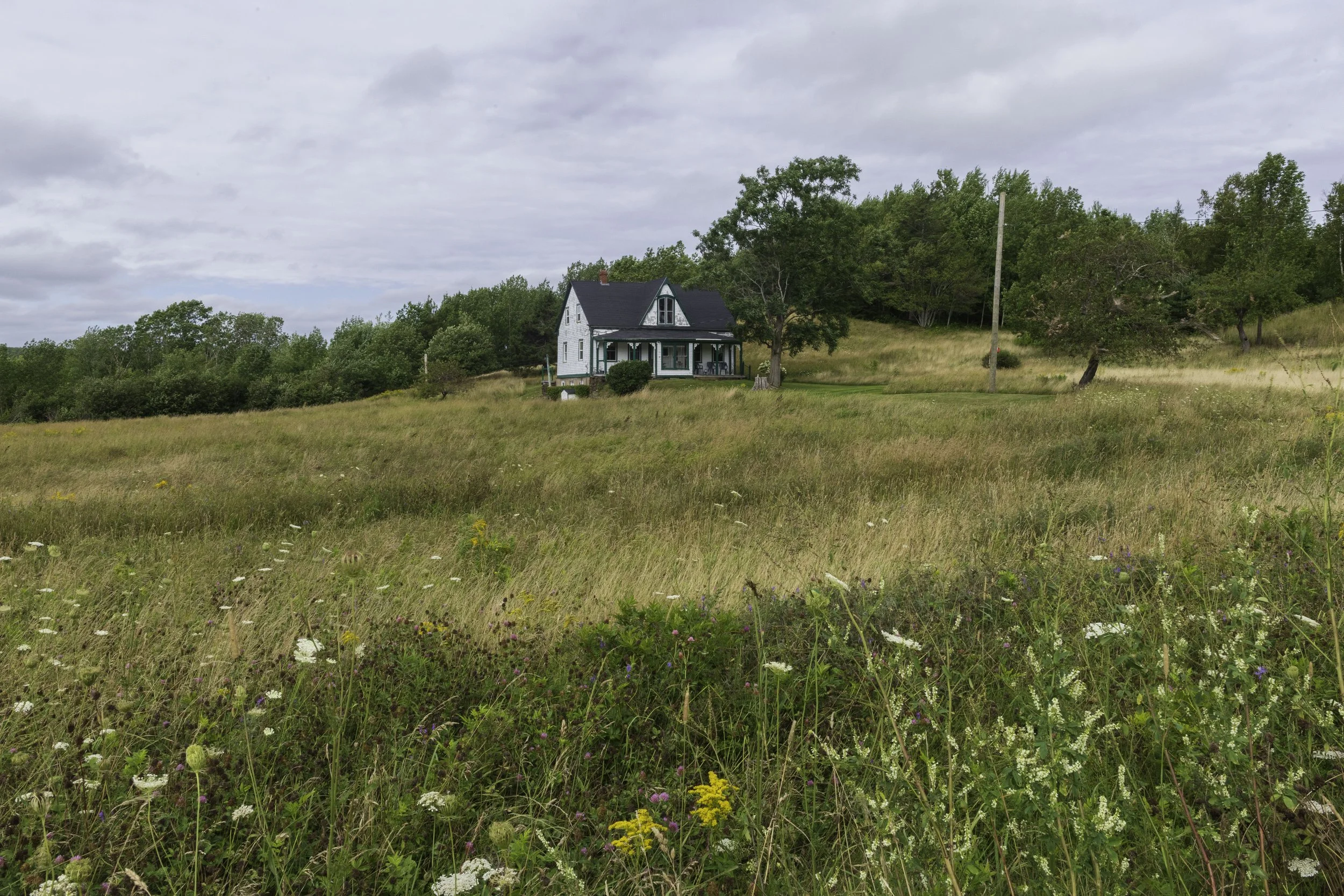 CA-Gaspesie - New Brunswick - Nova scotia 2018 4888-2.jpg