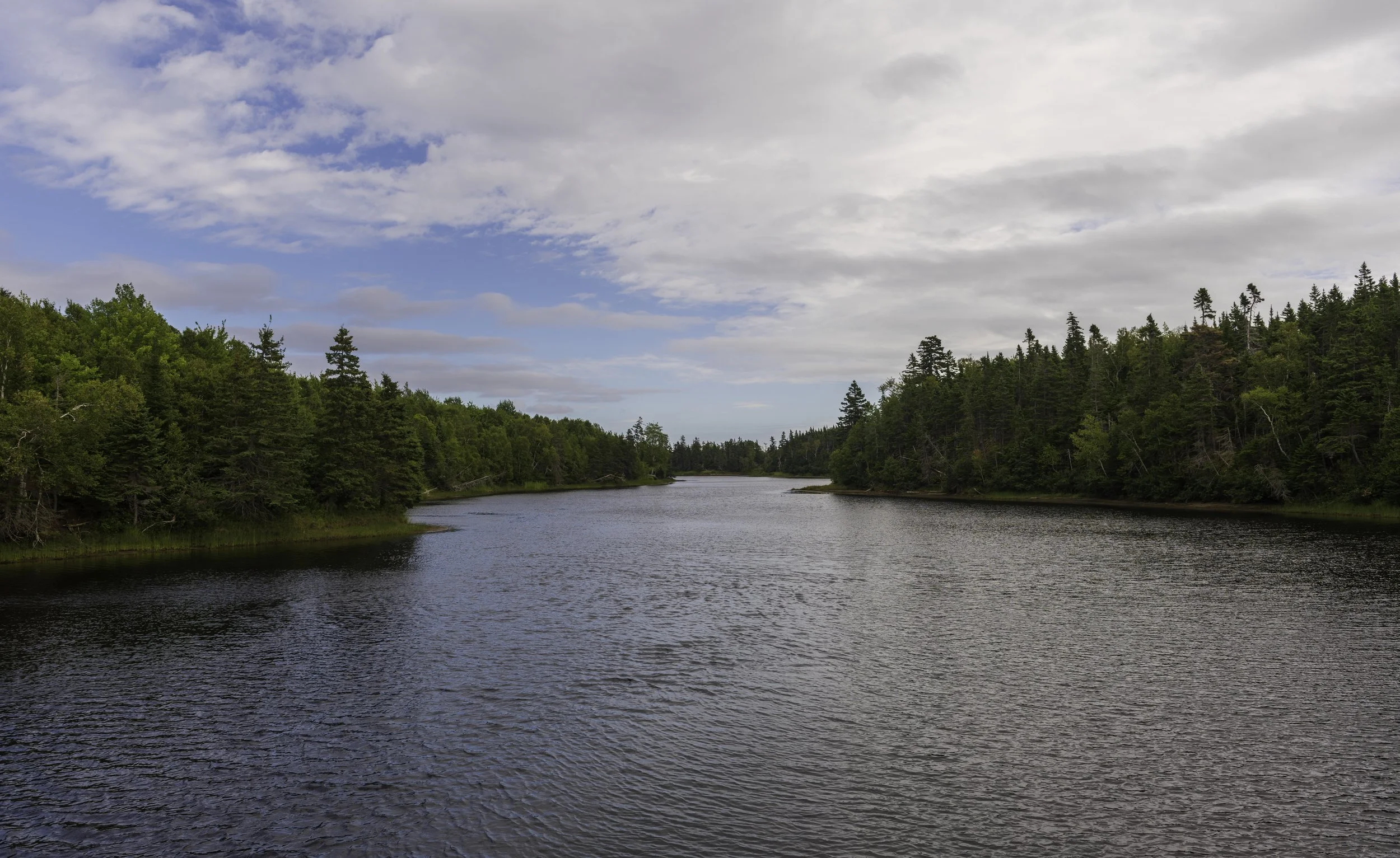 CA-Gaspesie - New Brunswick - Nova scotia 2018 4943.jpg
