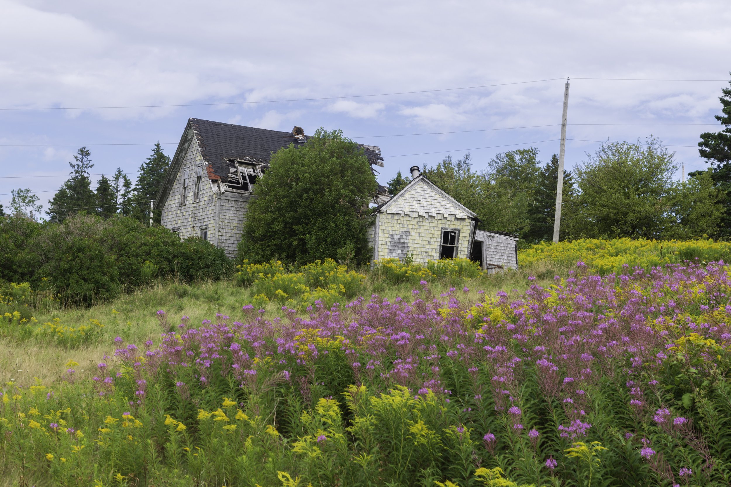 CA-Gaspesie - New Brunswick - Nova scotia 2018 4956.jpg