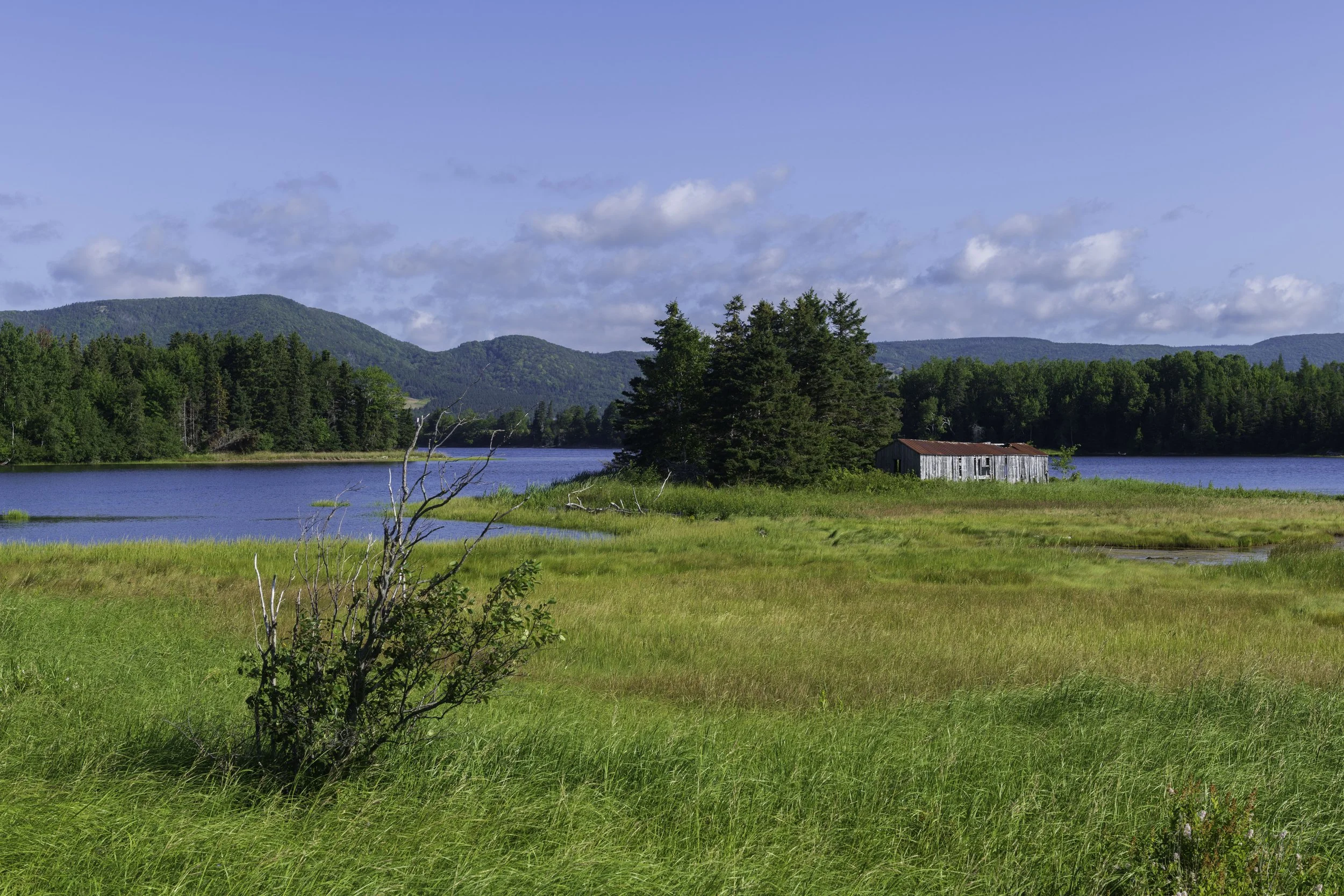CA-Gaspesie - New Brunswick - Nova scotia 2018 4999.jpg