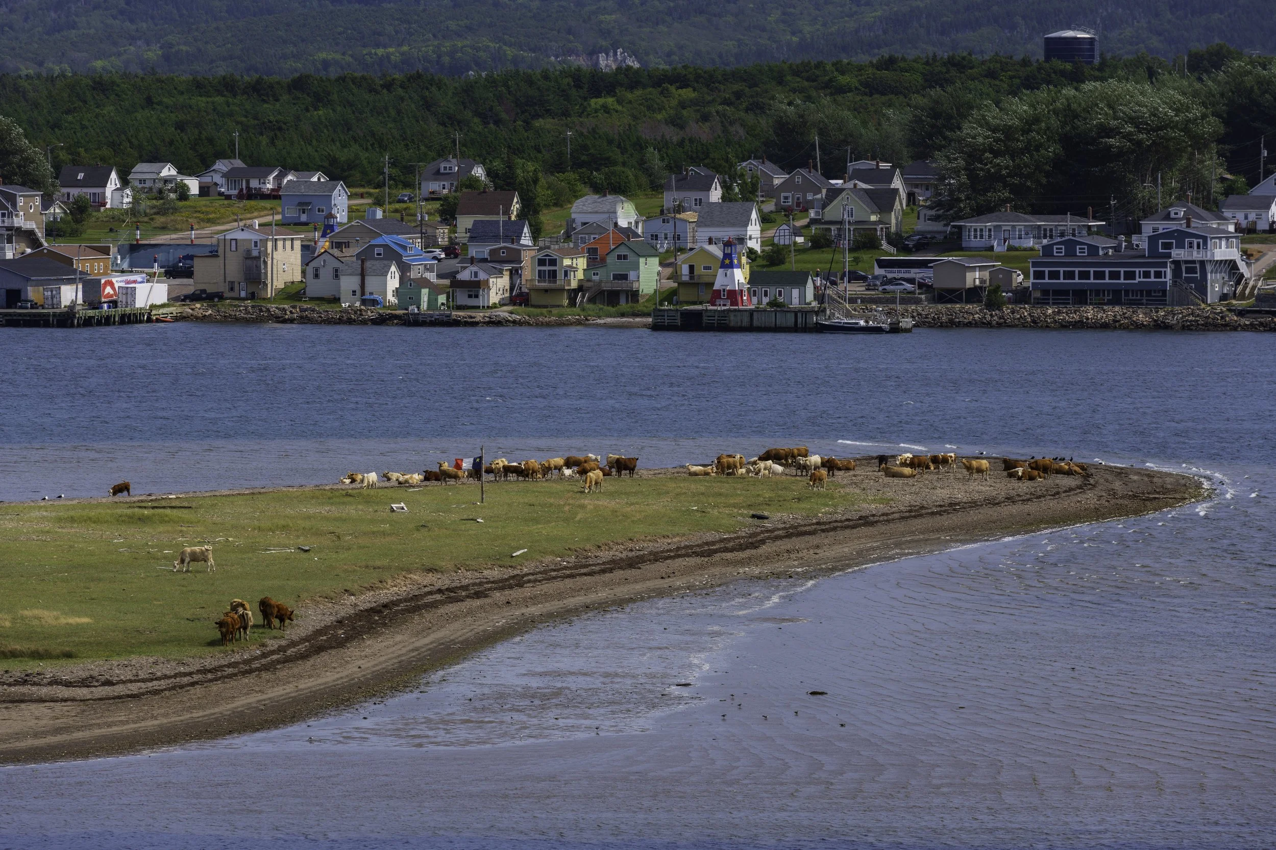 CA-Gaspesie - New Brunswick - Nova scotia 2018 5055.jpg