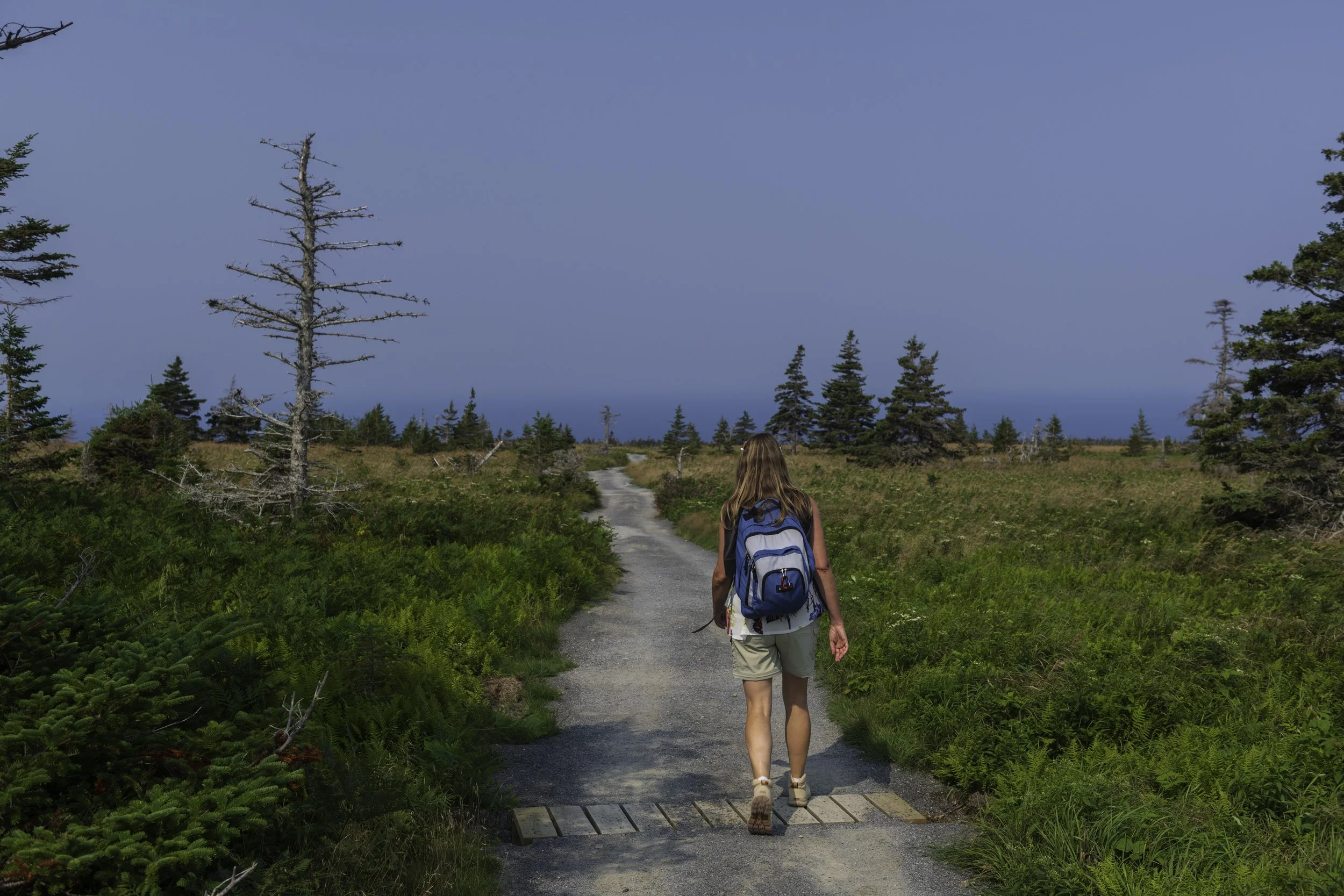 CA-Gaspesie - New Brunswick - Nova scotia 2018 5094.jpg